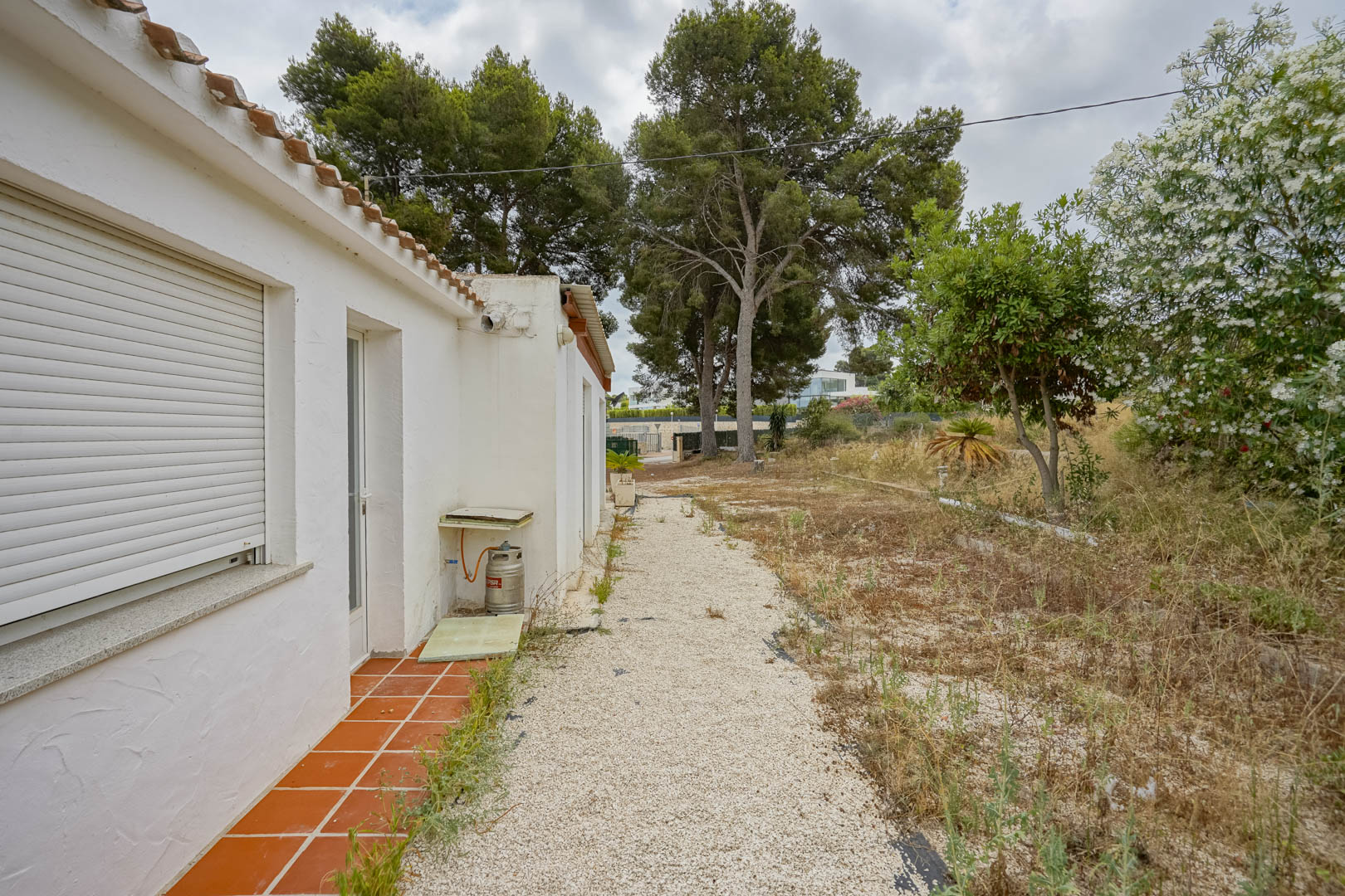 Exterior view of the existing white villa featuring terracotta tiles, a gravel path, and a spacious plot with mature pine trees and native vegetation.