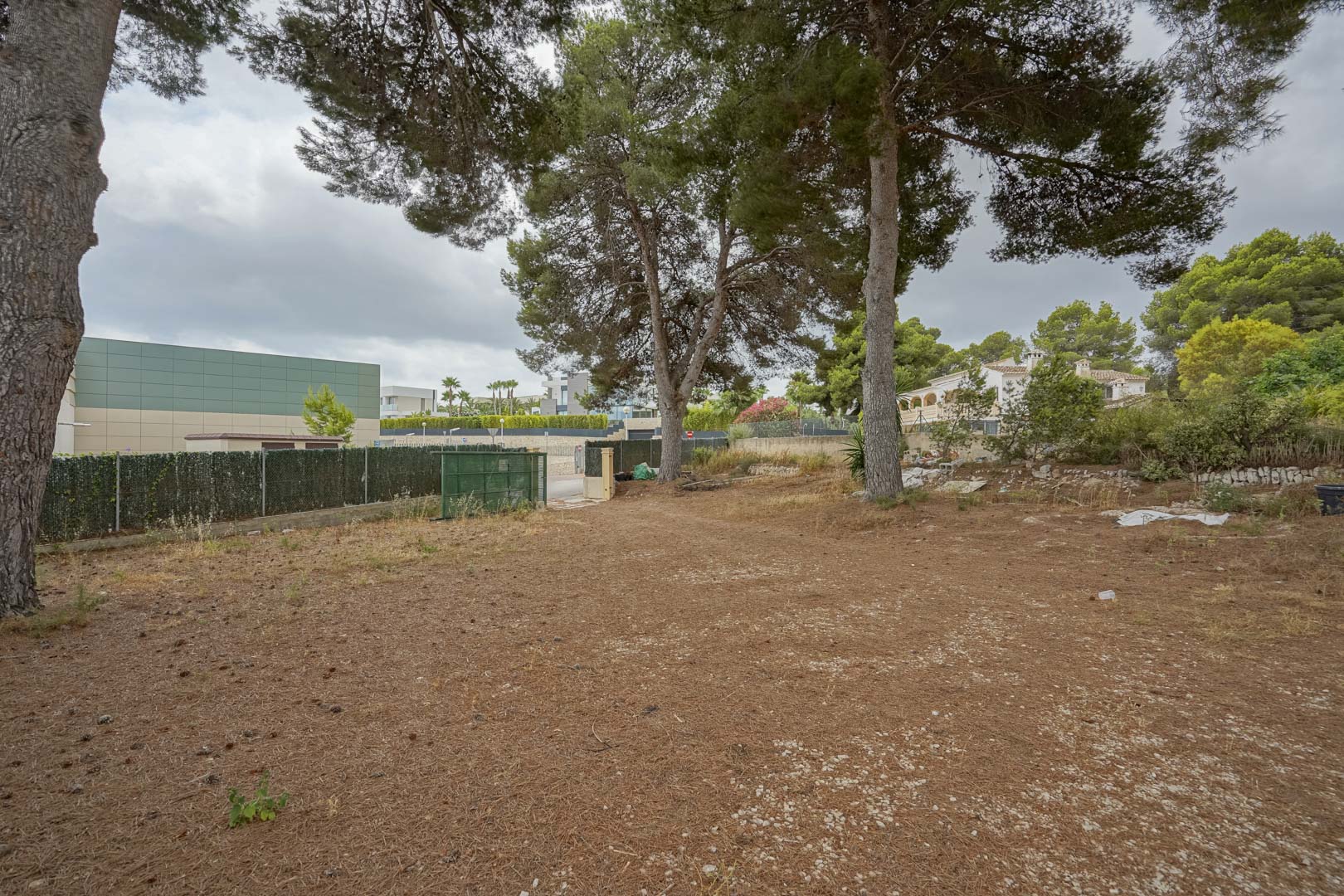 Large flat plot featuring mature pine trees and perimeter fencing, offering a clear development space within an established residential and commercial area.