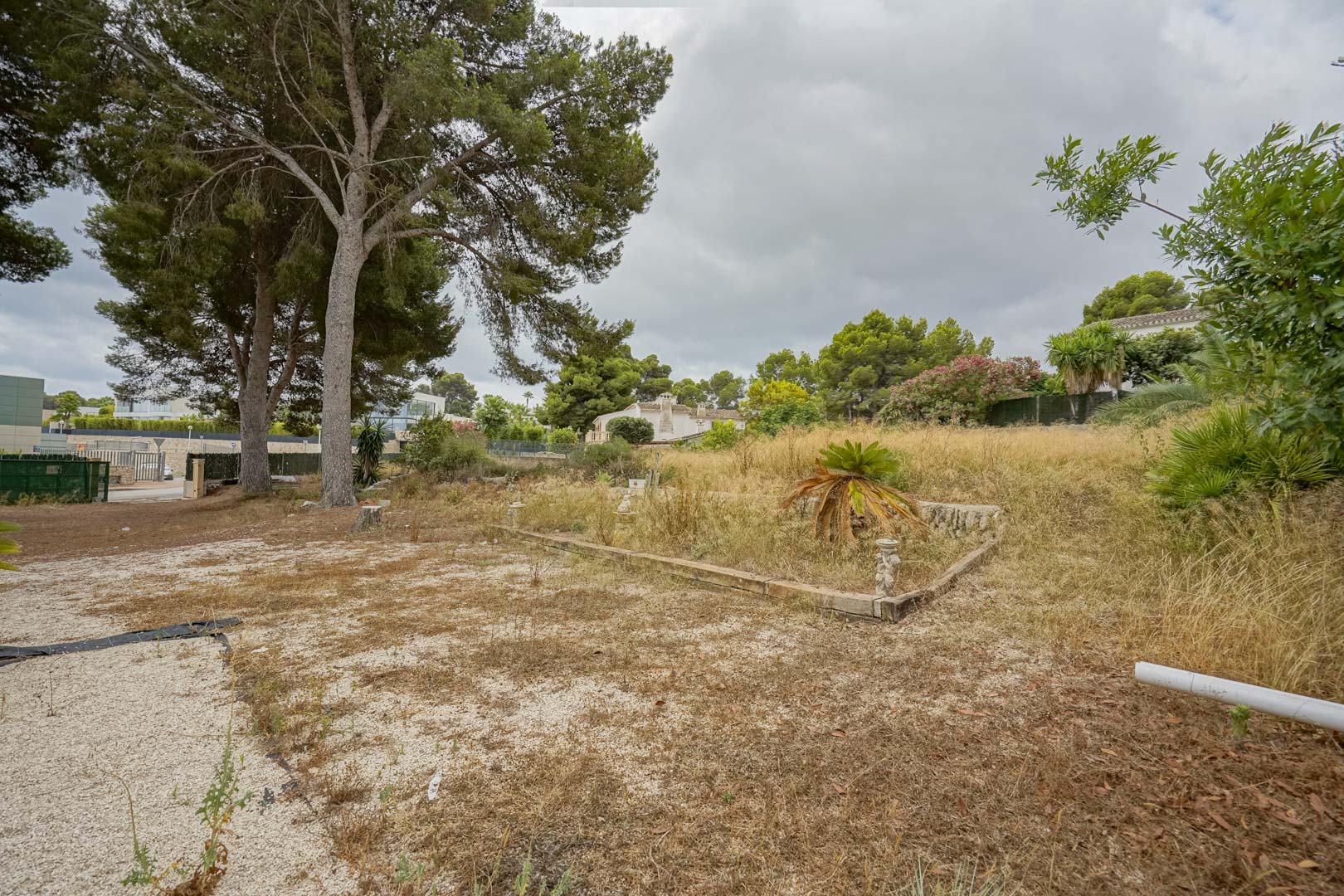 Overview of the expansive 2,600 m2 plot with mature pine trees and natural vegetation, highlighting the potential for segregation into two building lots.