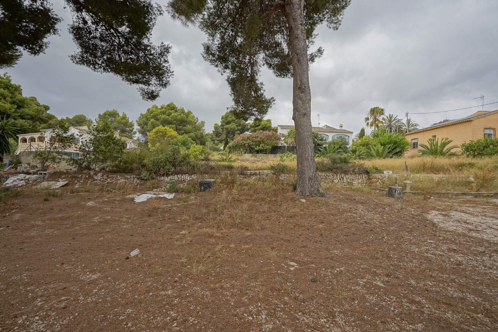 View of the expansive flat plot featuring mature pine trees, natural stone retaining walls, and surrounding residential properties.