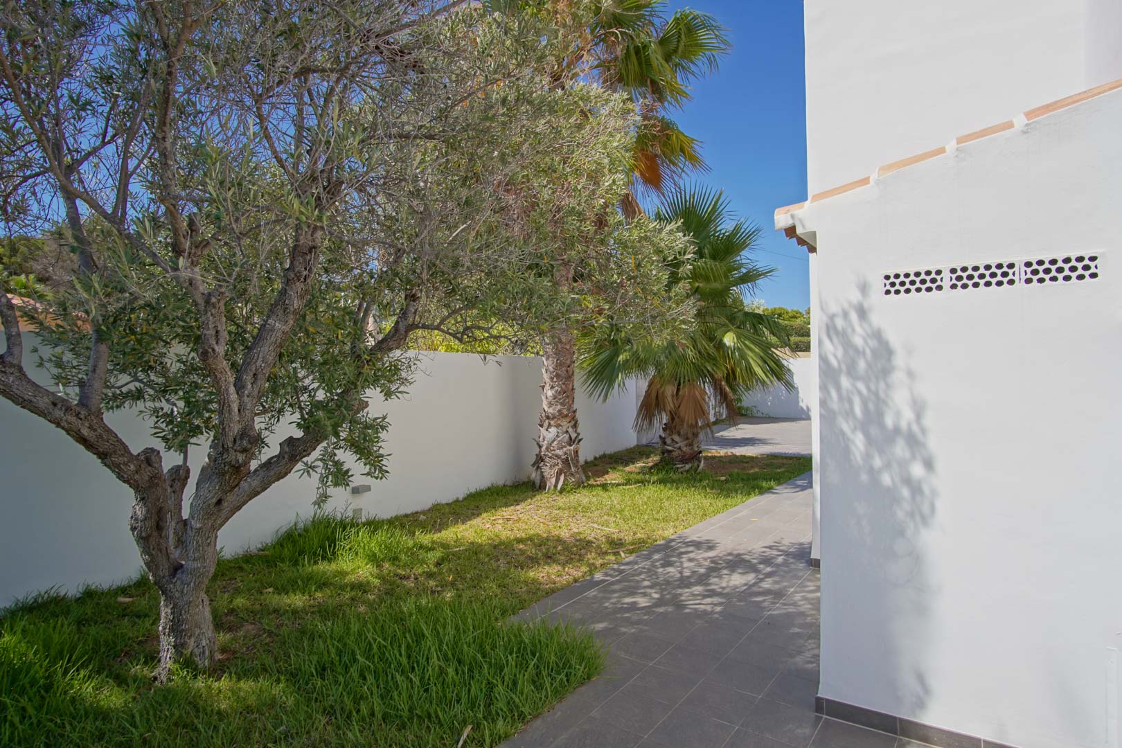 Exterior side path featuring grey tiling, bordered by a natural lawn with olive and palm trees against a white perimeter wall.