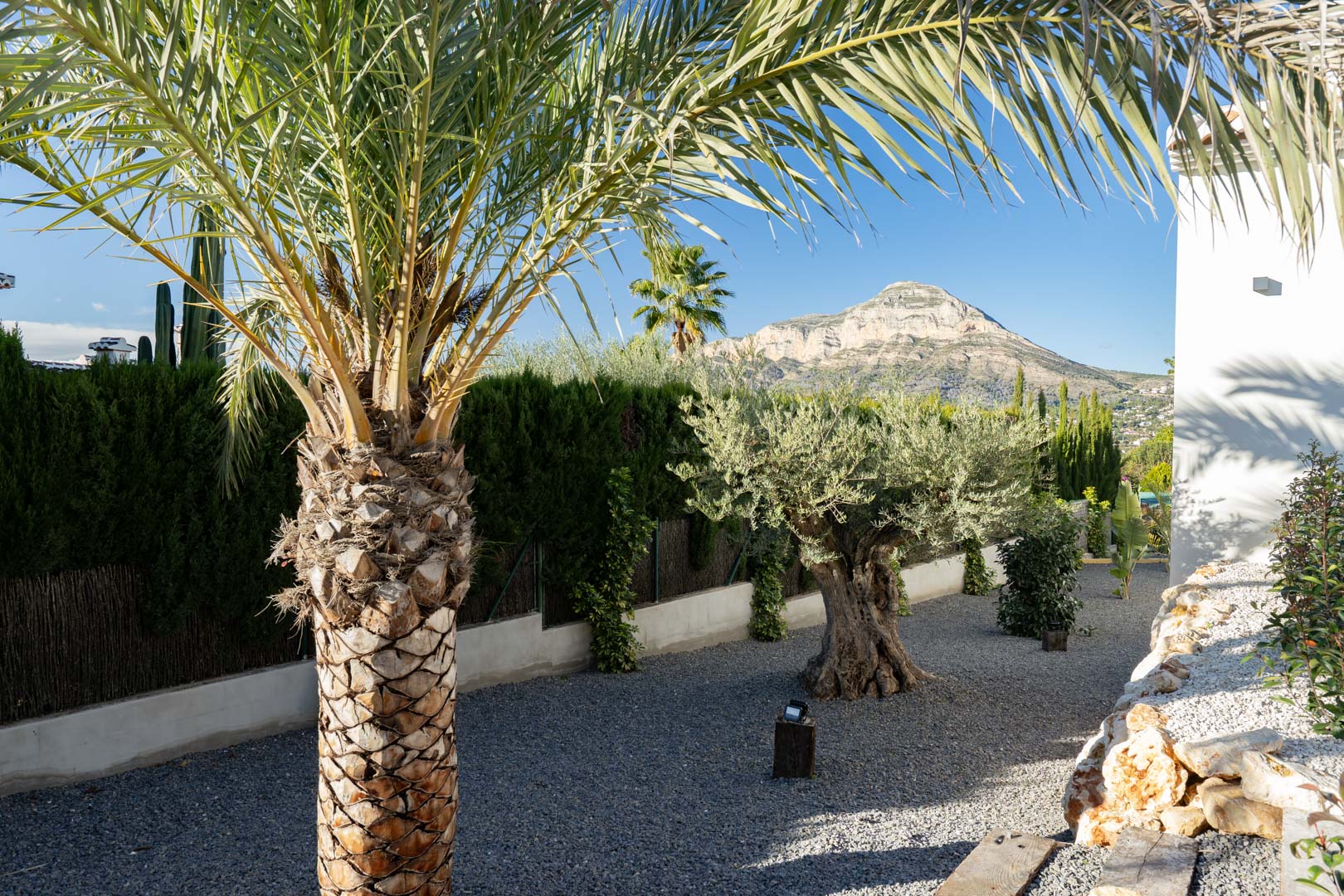Mediterranean garden with gravel, palm tree and olive tree, mountain view in Jávea.