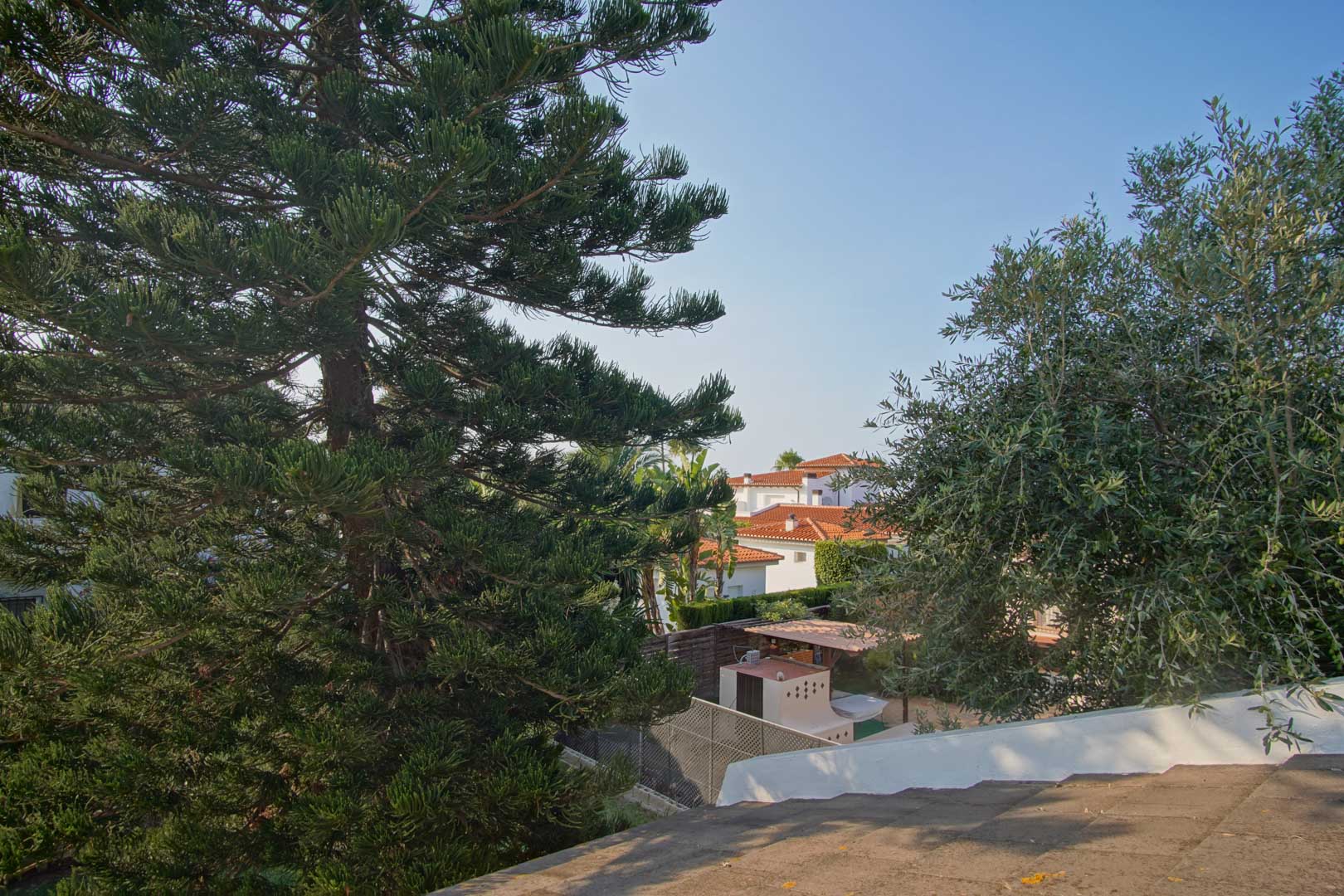 Elevated view from the terrace featuring mature Mediterranean trees and the terracotta rooftops of neighboring villas under a clear sky.