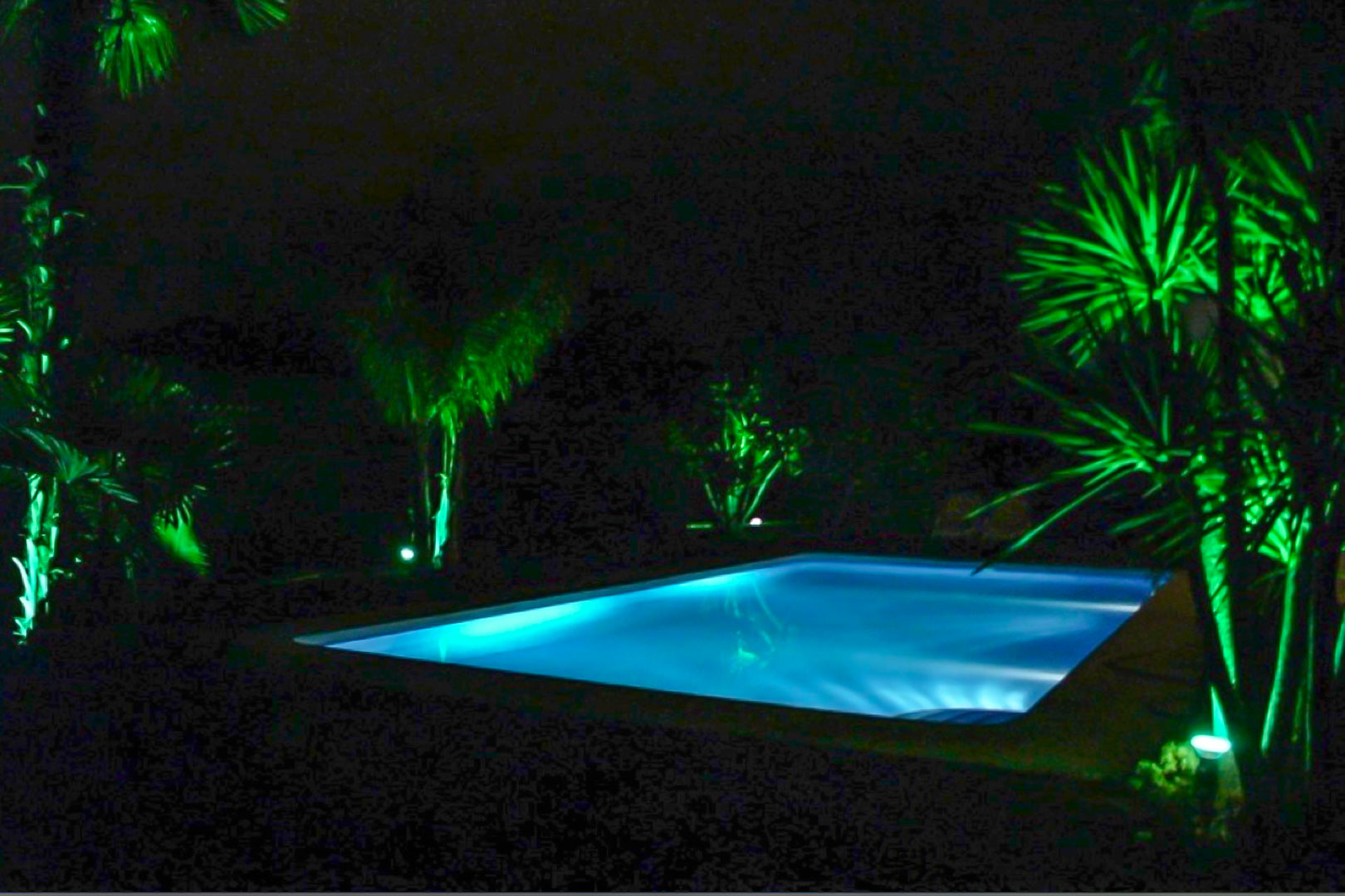 Outdoor swimming pool featuring blue underwater lighting and surrounding palm trees illuminated by green spotlights in a private night setting.