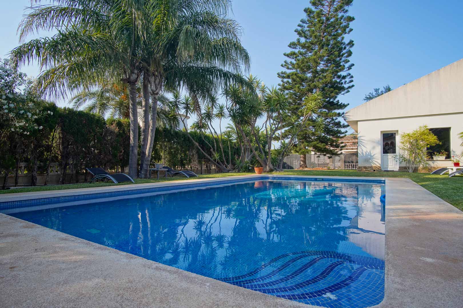 Private swimming pool with blue tiling and integrated steps, set within a Mediterranean garden featuring mature palms, natural lawn, and perimeter hedging.