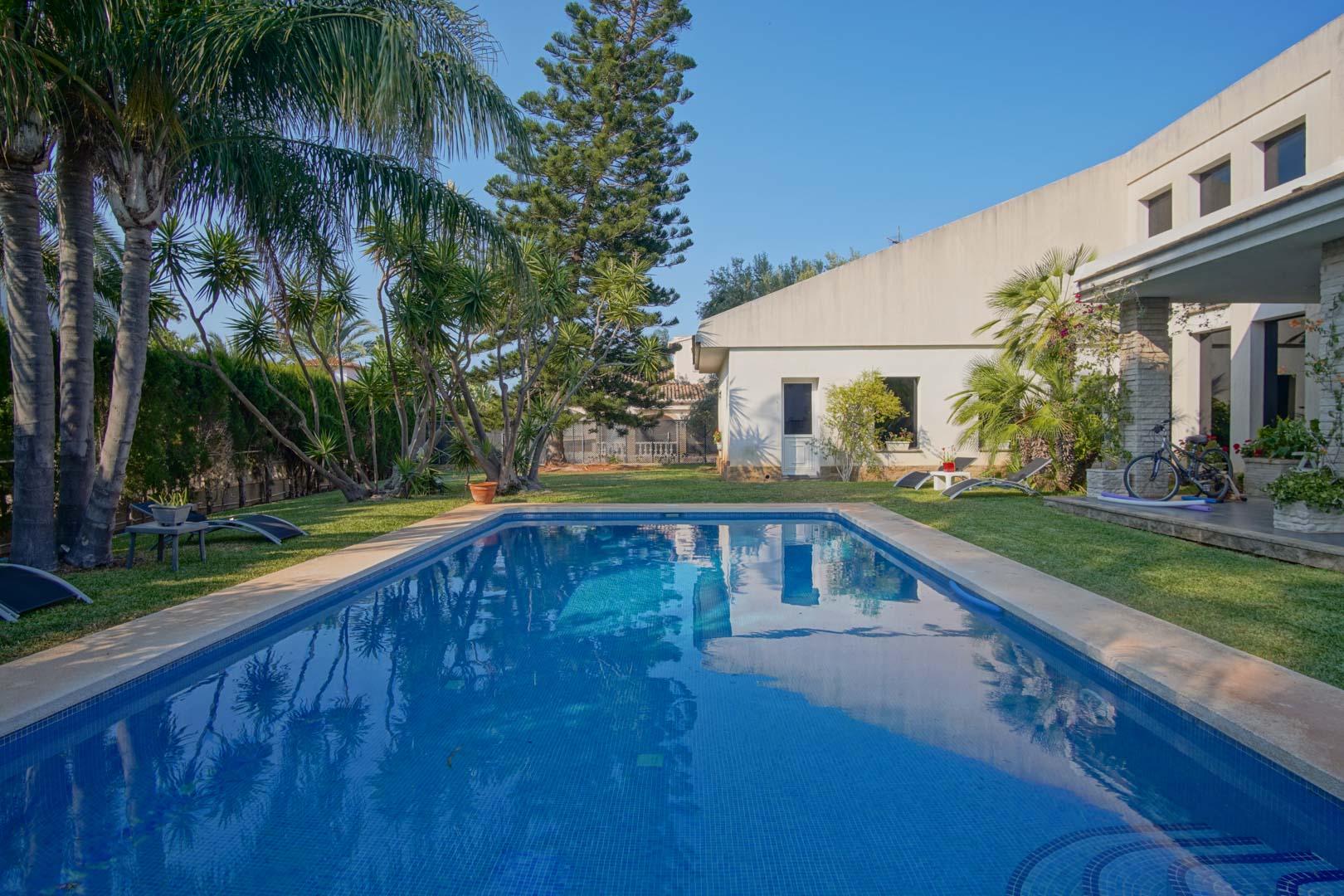 Rectangular swimming pool with blue mosaic tiles, surrounded by a natural lawn and Mediterranean garden with palm trees and a white-walled villa.