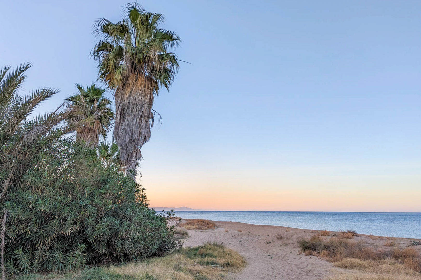 View of the sandy beach featuring palm trees and Mediterranean shrubs under a soft sunset sky, located just minutes from the property in Dénia.