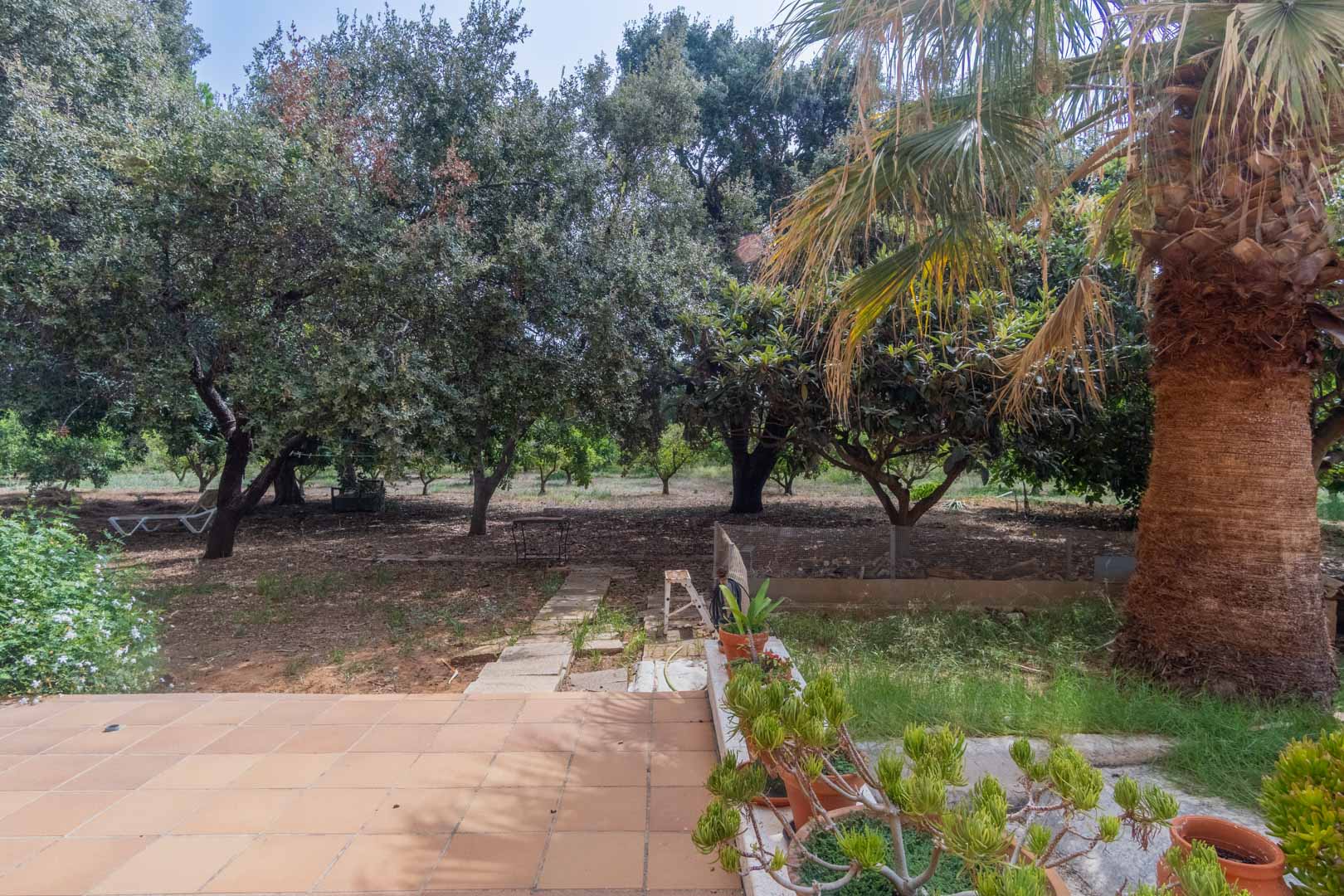 Rustic tiled terrace overlooking a spacious garden plot. The outdoor area features mature Mediterranean trees, a palm tree, and a natural stone pathway.