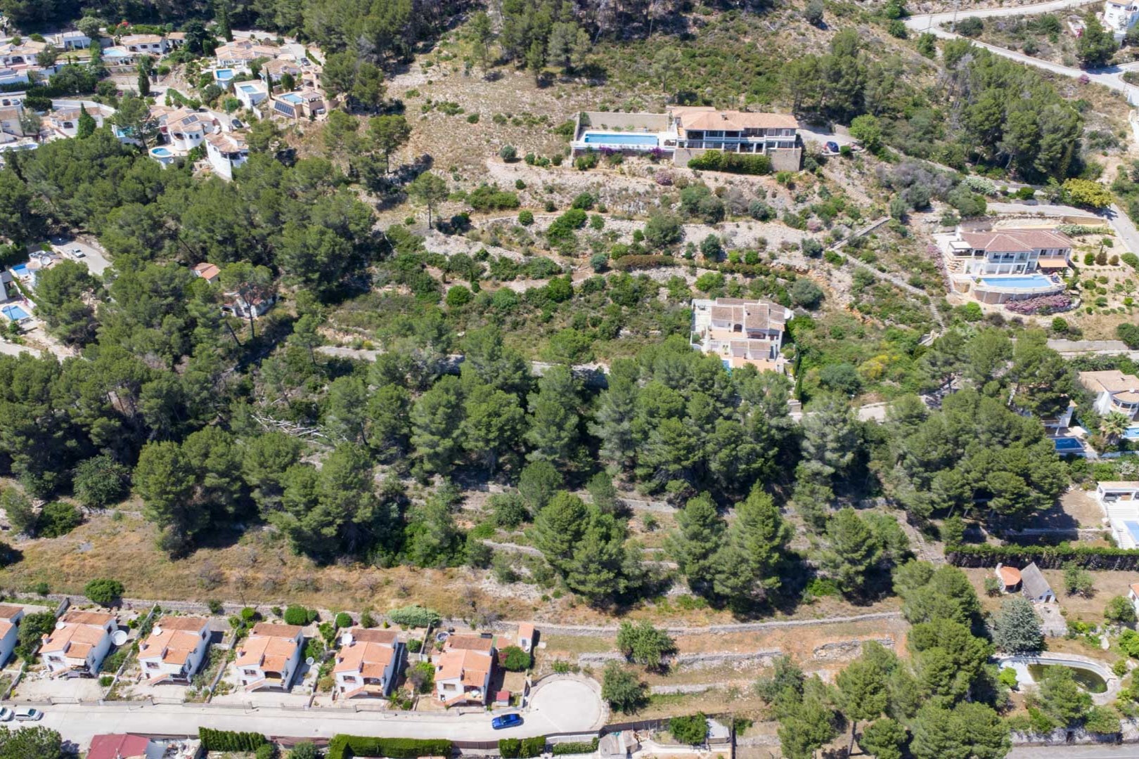 Aerial view of the elevated plots in Alcalalí, featuring terraced land surrounded by pine trees and existing villas integrated into the hillside landscape.