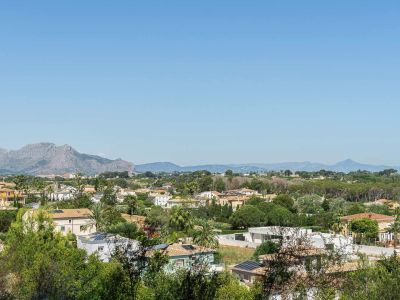 Mountain and landscape views