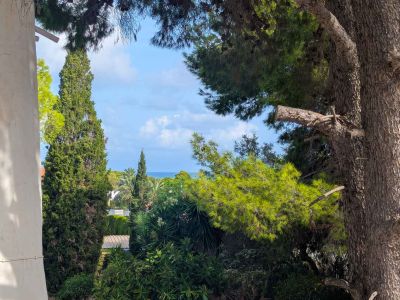 Sea and nature views
