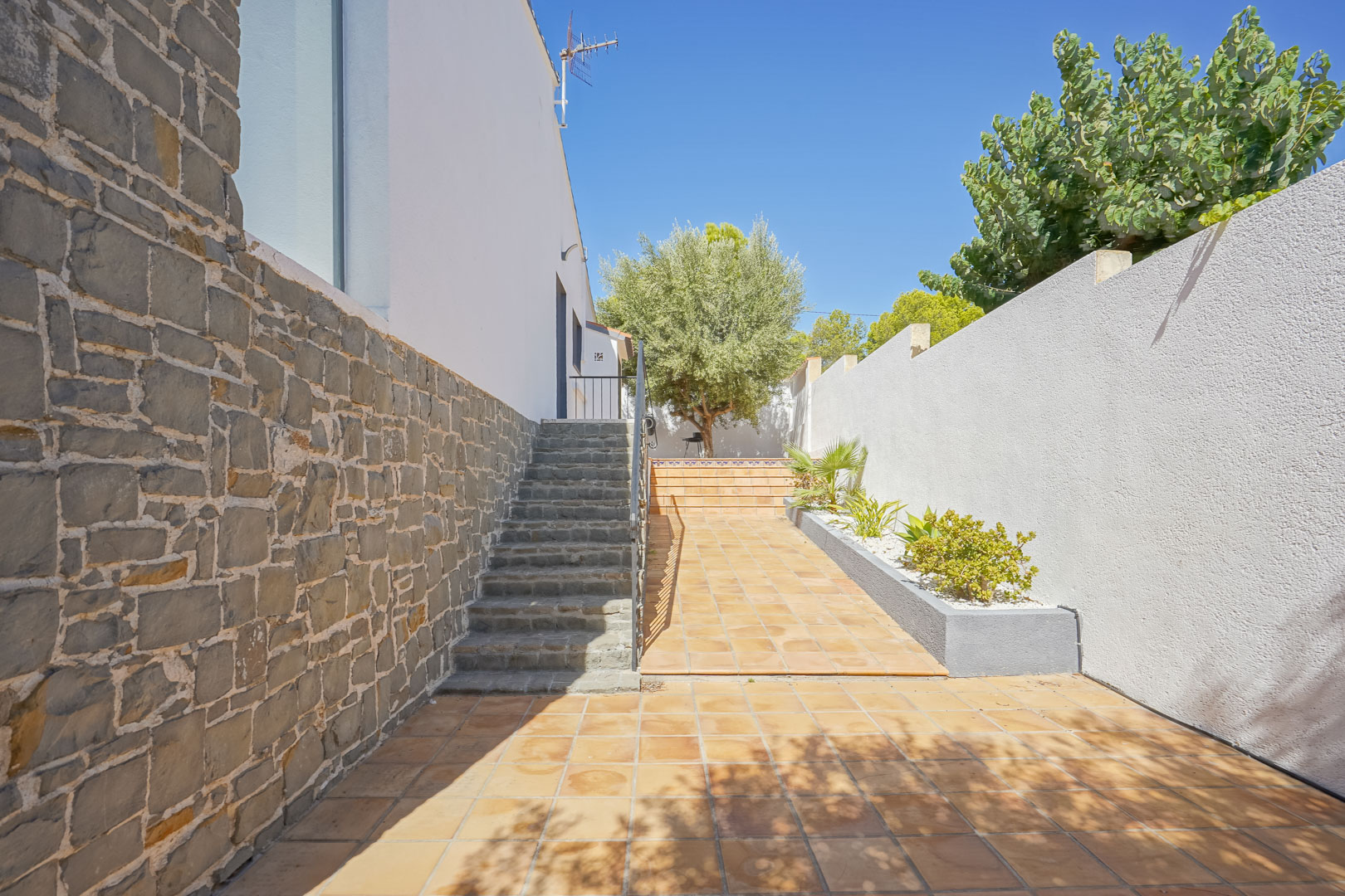 Exterior entrance featuring natural stone stairs, masonry-clad walls, and terracotta tiling leading to a Mediterranean garden with an olive tree.