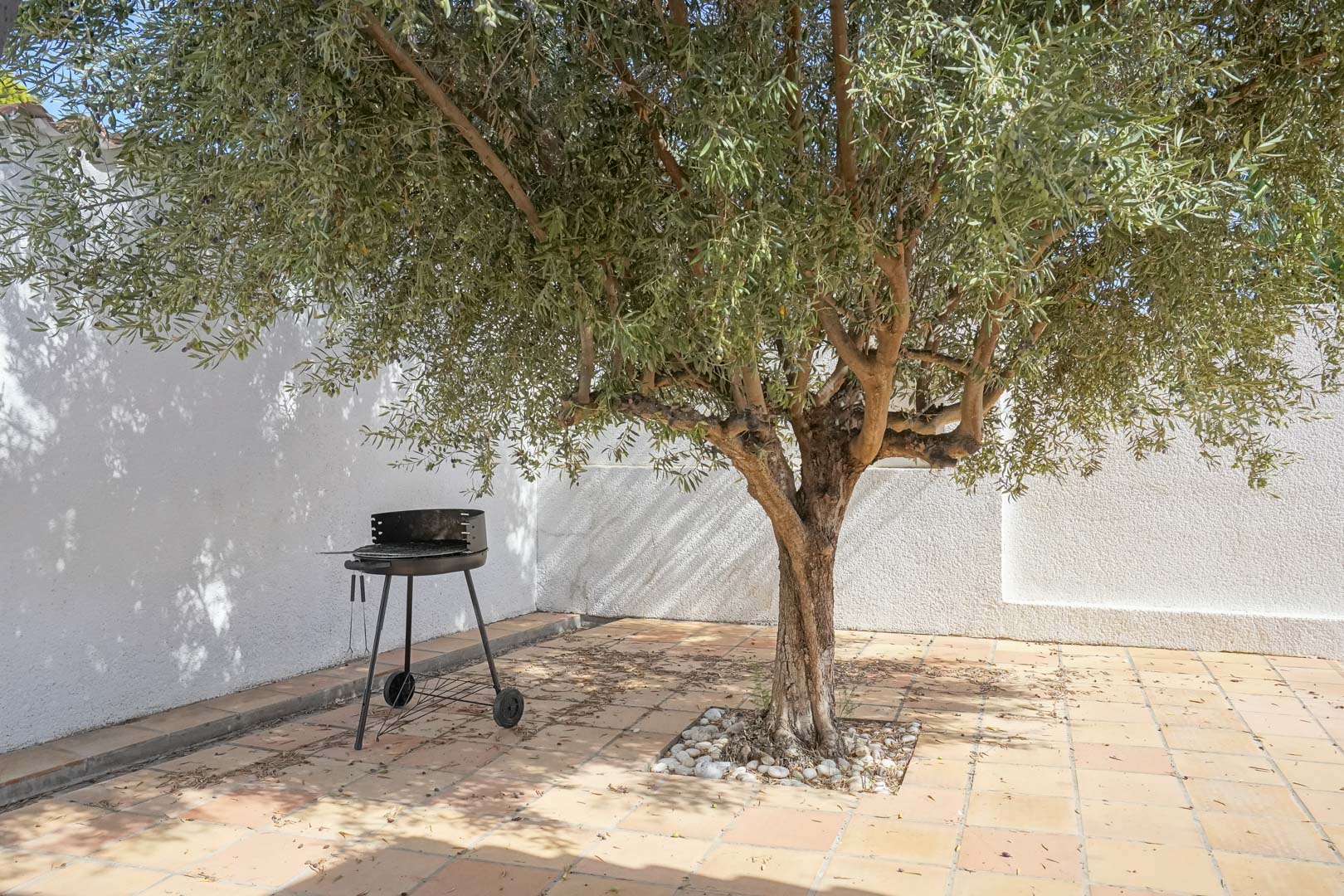 Shaded corner in the Mediterranean garden featuring a mature olive tree, terracotta tiled flooring, and a portable charcoal barbecue against white walls.