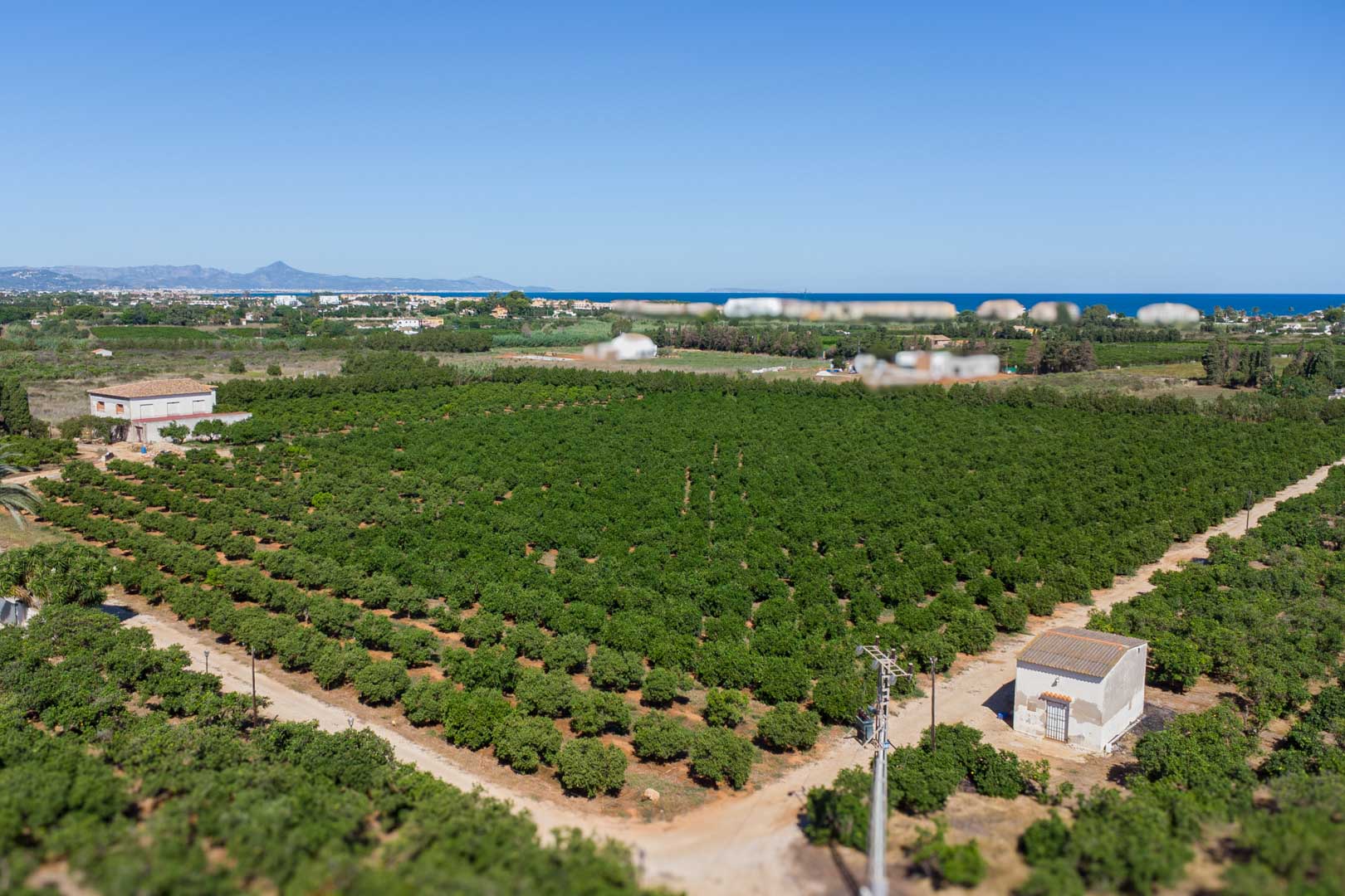 Aerial view of the expansive agricultural plot with citrus groves, showing the farmhouse and the Mediterranean Sea on the Dénia horizon.