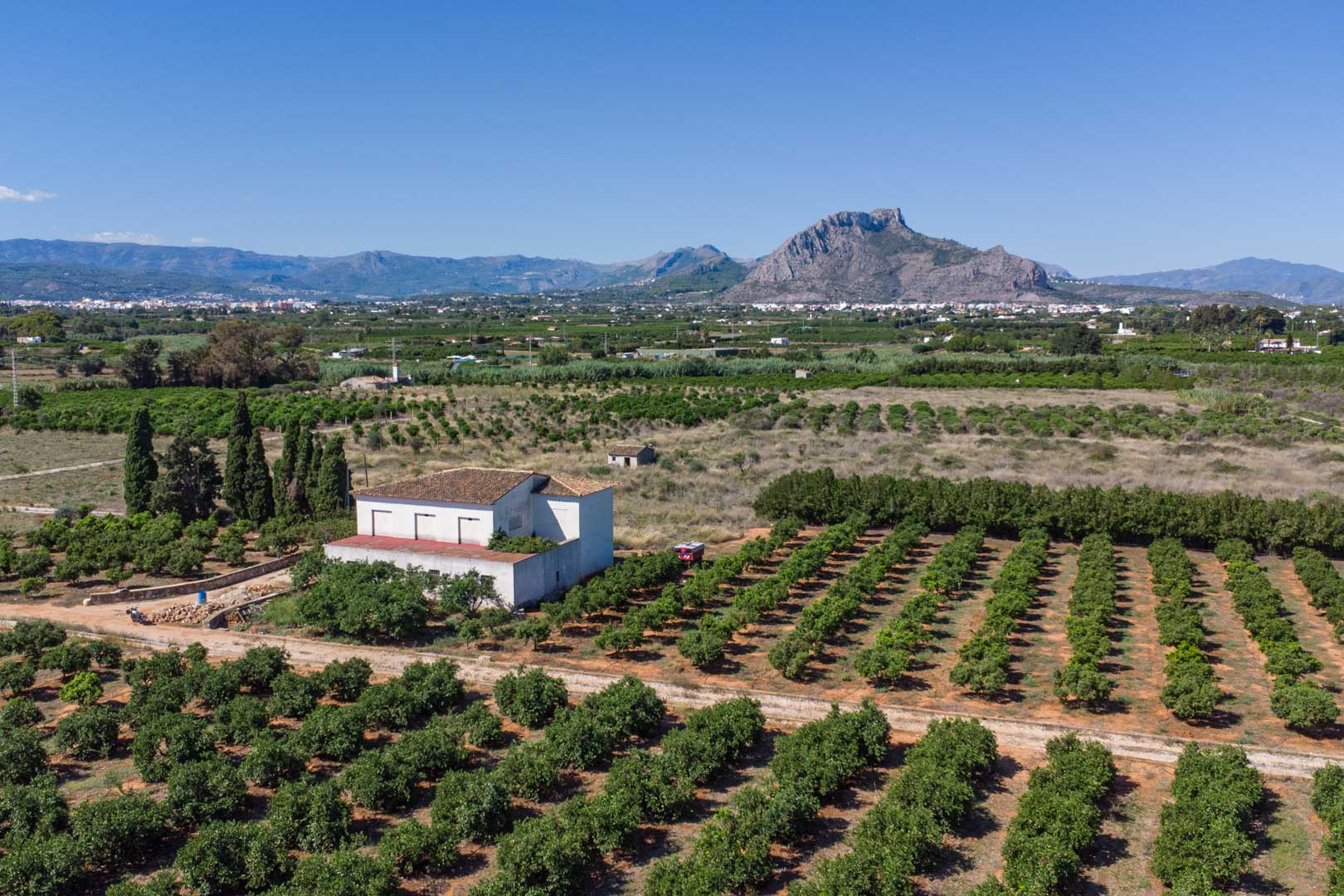 Aerial view of the farmhouse surrounded by extensive citrus groves, featuring clear mountain views and a flat Mediterranean landscape in Dénia.