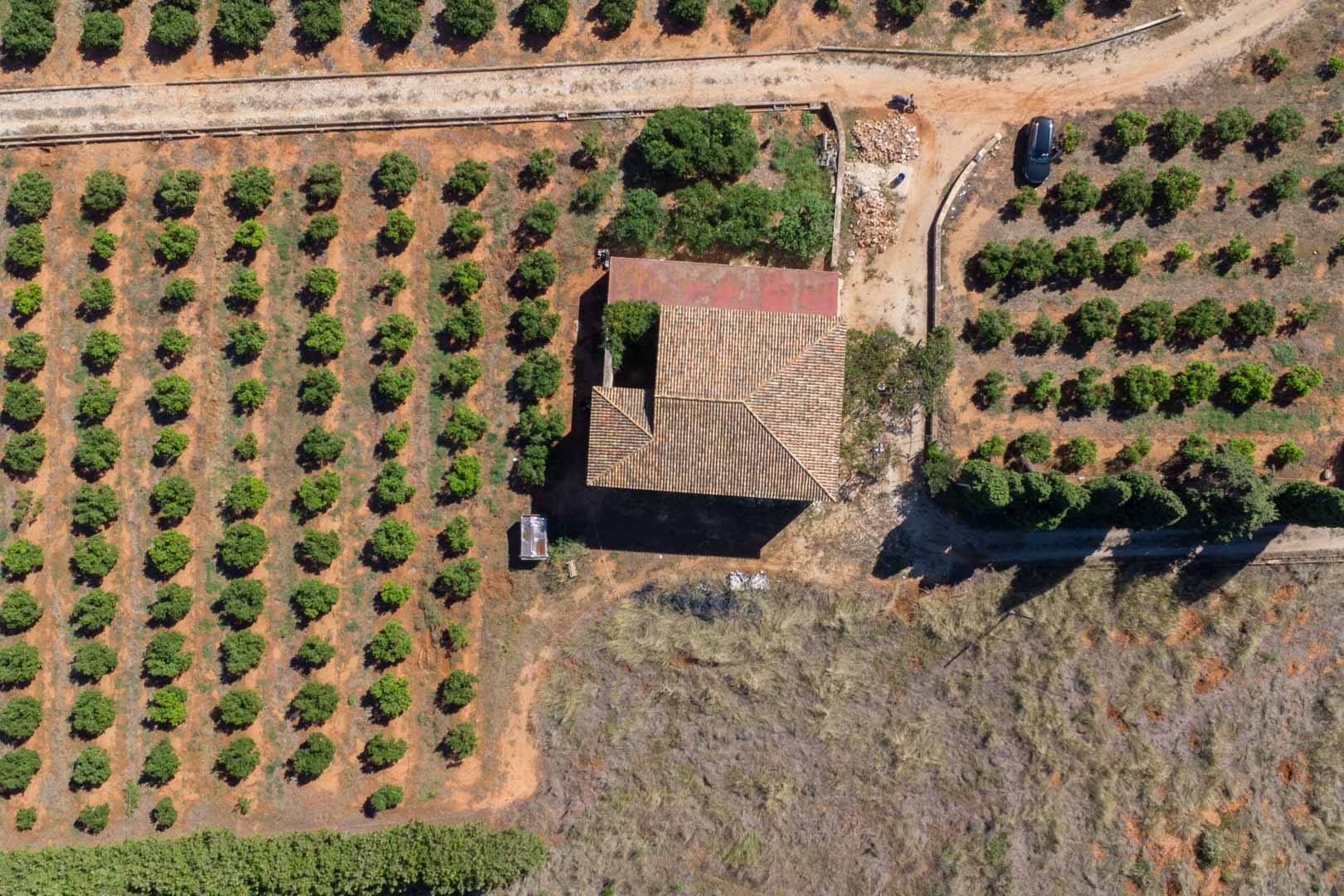 Aerial zenith view of the country house featuring traditional tiled roofing, surrounded by organized rows of citrus trees on a vast, flat agricultural plot.