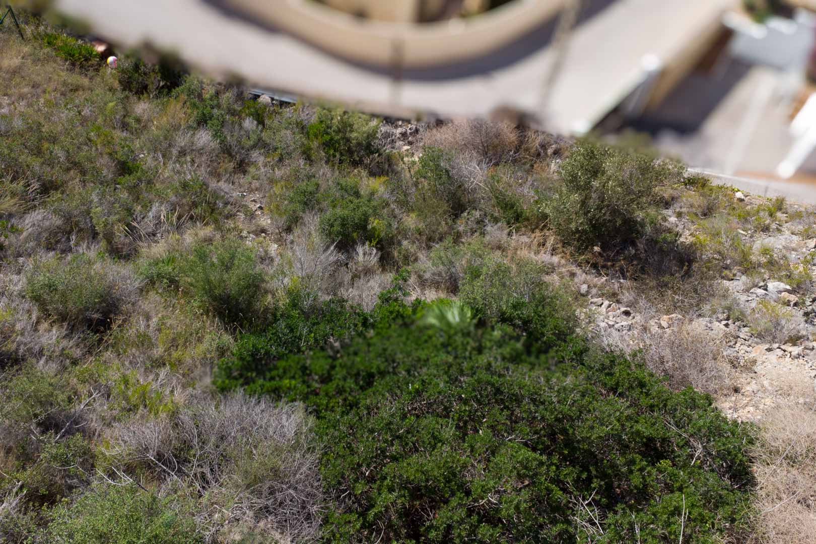 Perspective of the sloped plot featuring natural Mediterranean scrub and rocky soil, located adjacent to a paved residential road.