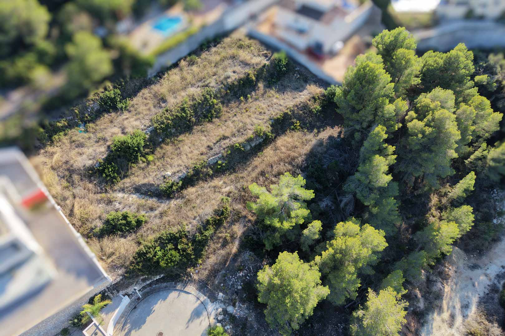 Aerial view of the terraced urban plot featuring traditional stone retaining walls, Mediterranean pine trees, and natural vegetation in a quiet residential area.