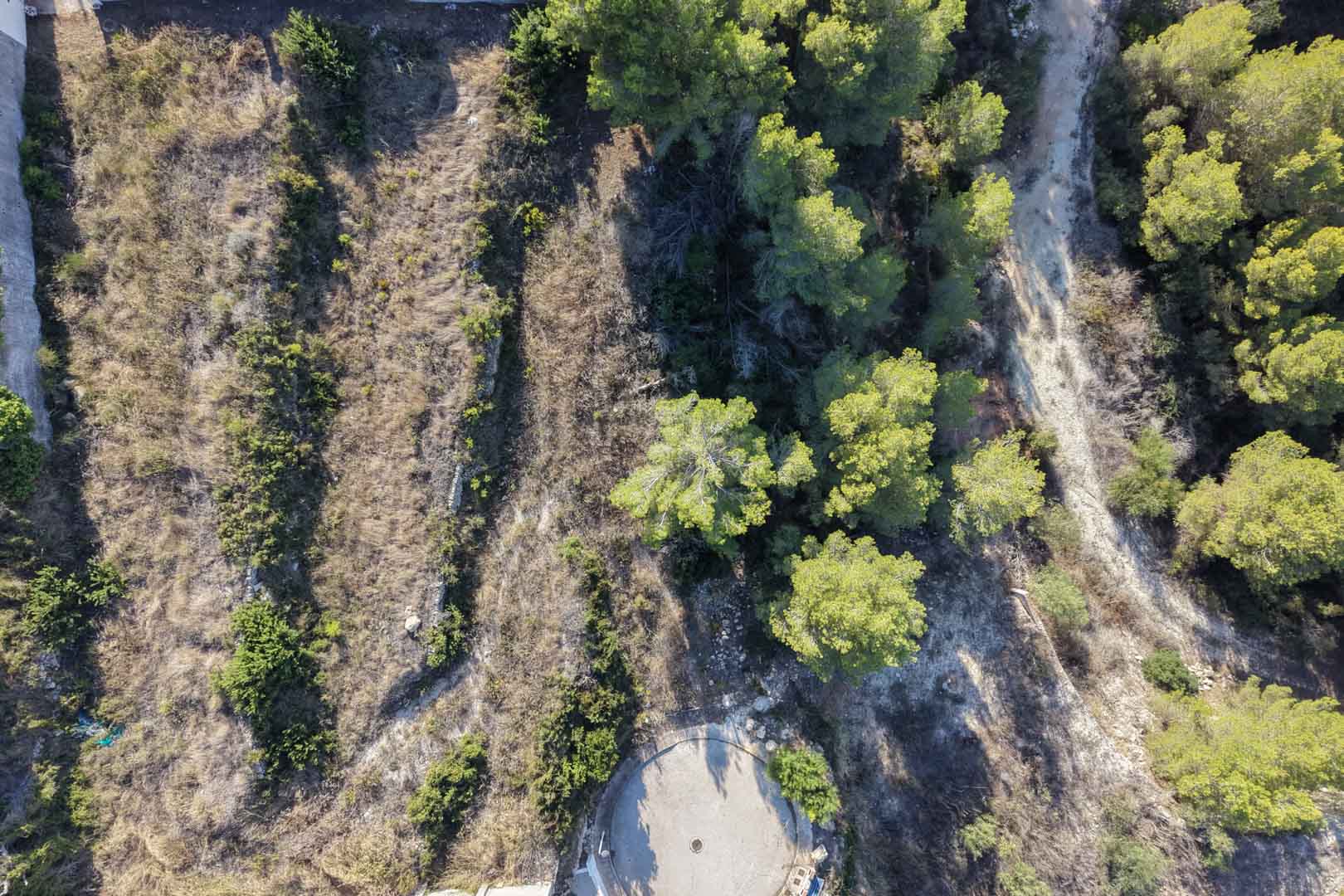 Aerial view of the urban plot in Moraira, featuring terraced terrain with traditional stone walls and native Mediterranean pine trees.