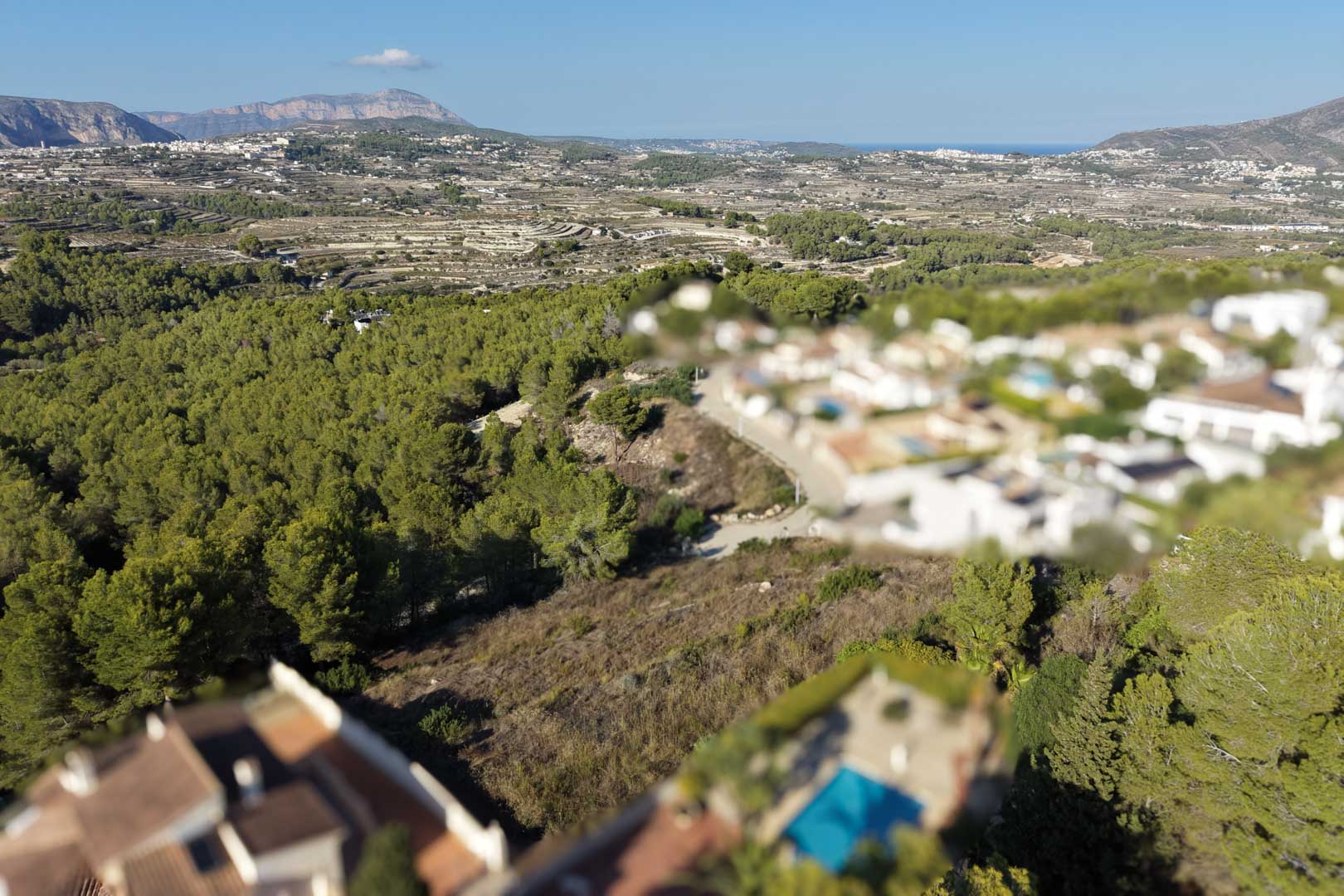 Elevated aerial perspective of the urban plot surrounded by pine forests, featuring panoramic valley views and glimpses of the Mediterranean coastline.