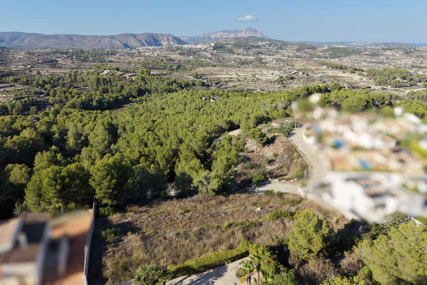Elevated view of the urban plot surrounded by a lush Mediterranean pine forest, offering open vistas towards the valley and distant mountains.