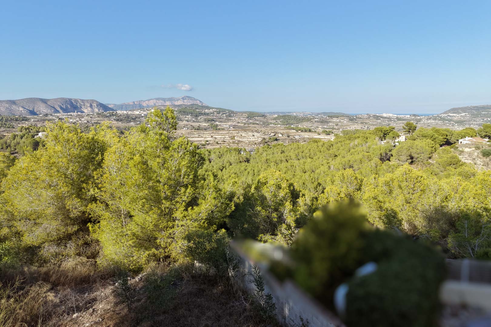 Elevated panoramic views from the Benimeit plot, showcasing the lush pine valley, distant mountain ridges, and a glimpse of the Mediterranean Sea.