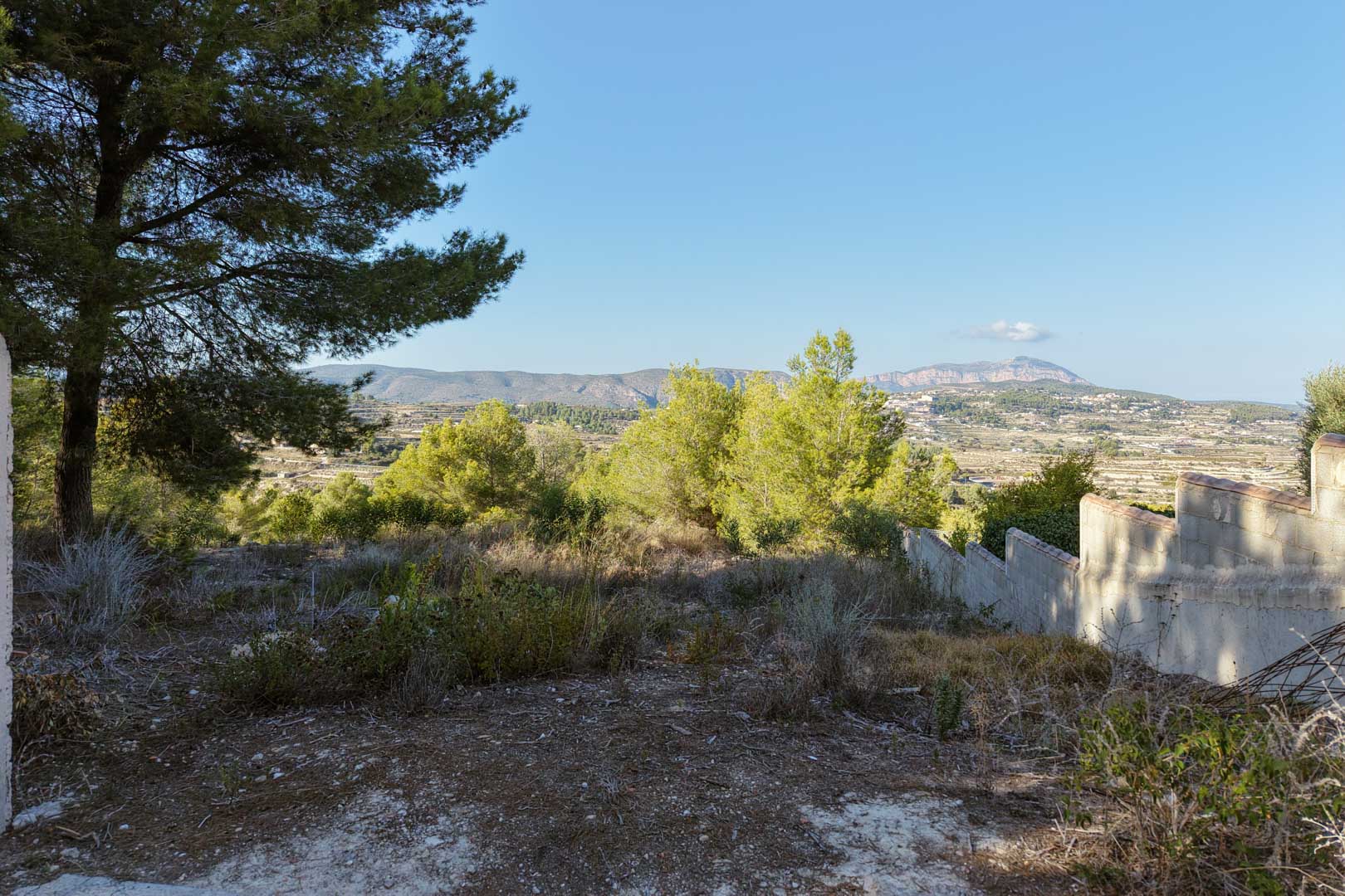 Elevated plot featuring panoramic valley and mountain views. The terrain includes natural vegetation, mature pine trees, and a stepped concrete perimeter wall.