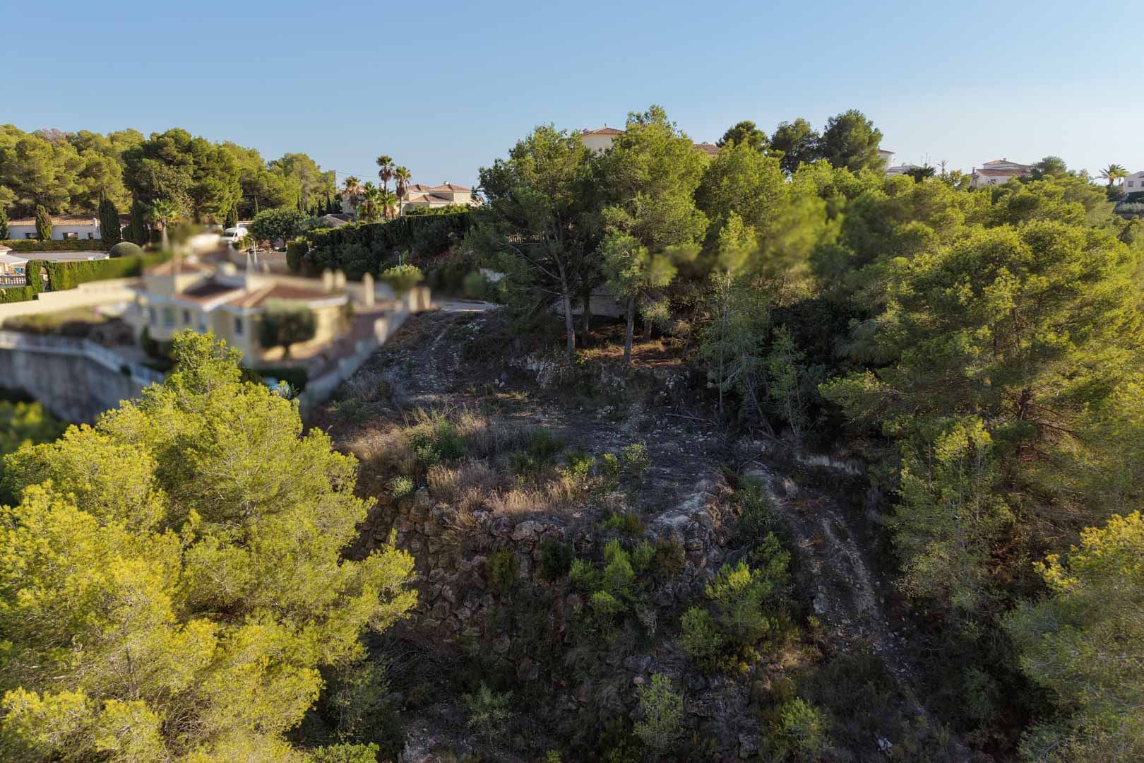 Elevated urban plot in Moraira featuring natural stone retaining walls, surrounded by mature pine trees and Mediterranean vegetation.