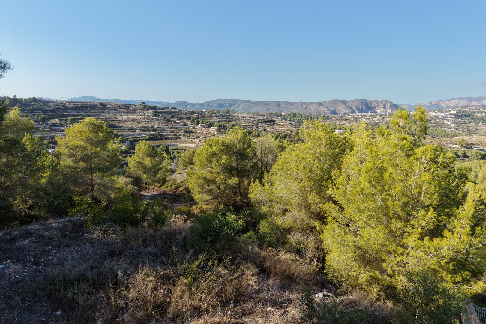 Panoramic view from the plot overlooking the valley and distant mountains, featuring native pine trees and traditional terraced landscapes under a clear blue sky.