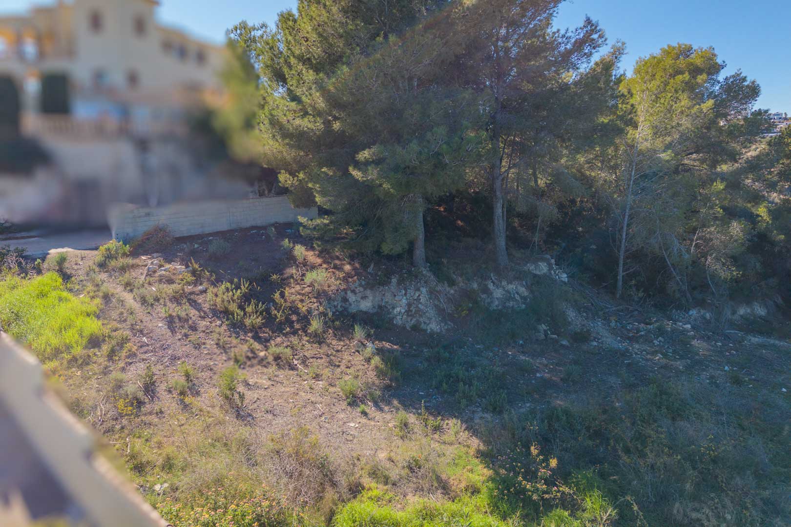 Sloped urban plot featuring natural Mediterranean vegetation and mature pine trees, located within a quiet residential area in Moraira.