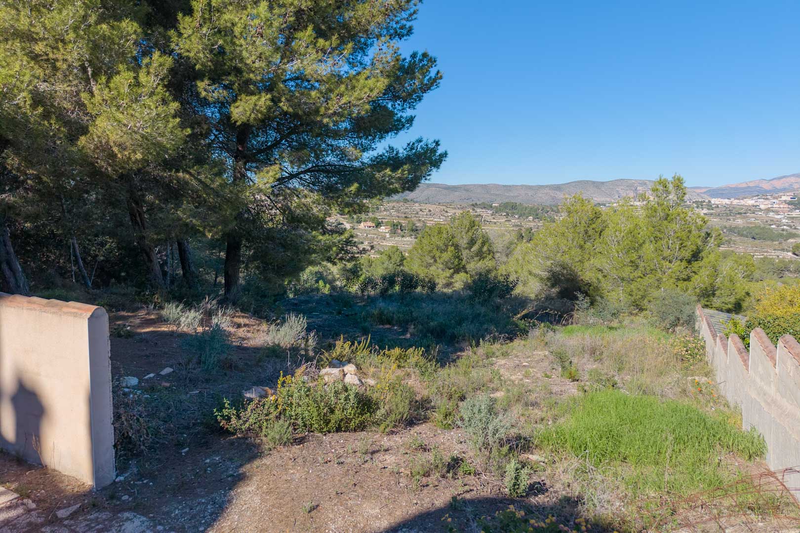 Urban plot featuring mature pine trees and open views across the valley towards the mountains. The natural terrain is partially enclosed by boundary walls.