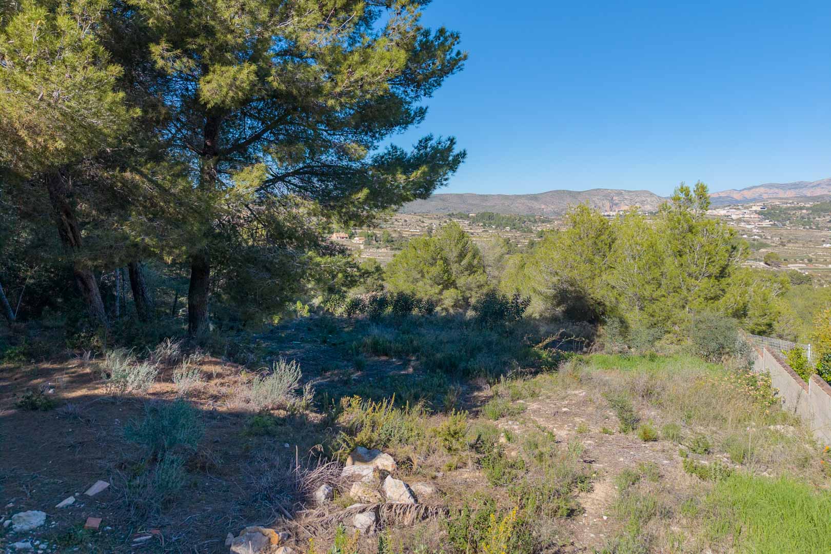 Urban plot in Benimeit featuring mature pine trees and open views across the valley towards the mountains. Natural terrain with native vegetation and clear skies.