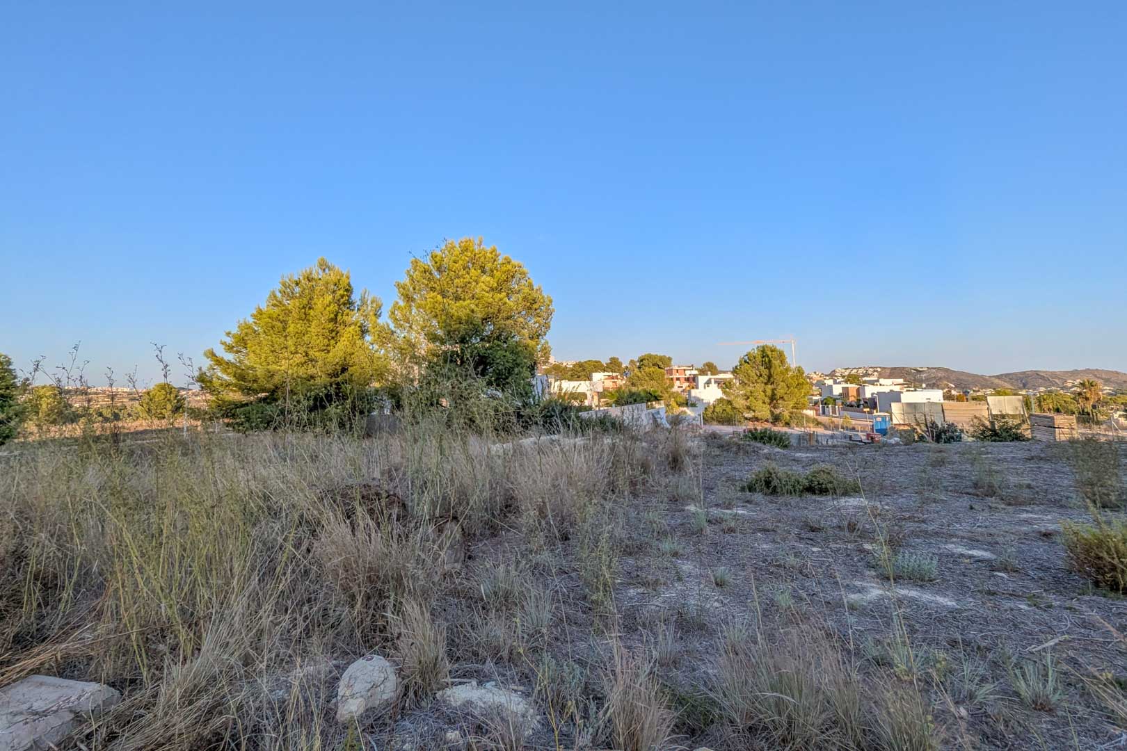 View of the flat plot with native vegetation and pine trees, surrounded by modern detached houses in the residential area of El Tesoro.