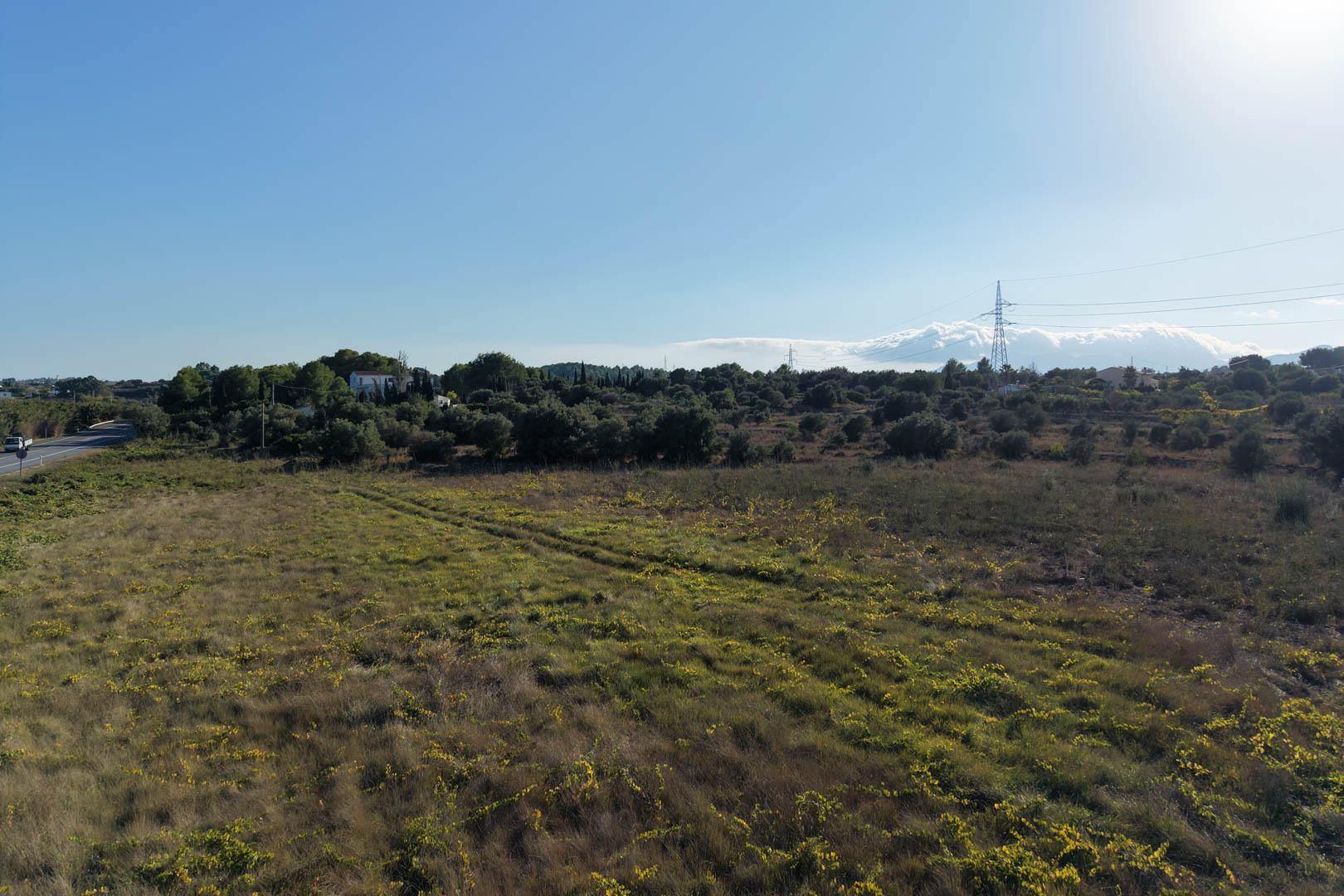 Panoramic view of the extensive flat plot in Teulada, featuring native Mediterranean vegetation and clear skies. A versatile outdoor space ideal for landscaping or agricultural use.
