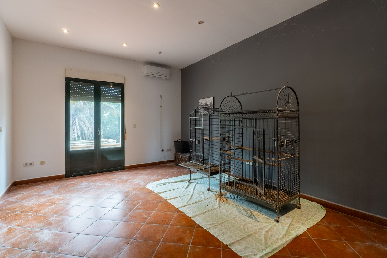 Room featuring terracotta tile flooring, a grey accent wall, and recessed ceiling lighting. A glass door with shutters provides natural light and garden access.