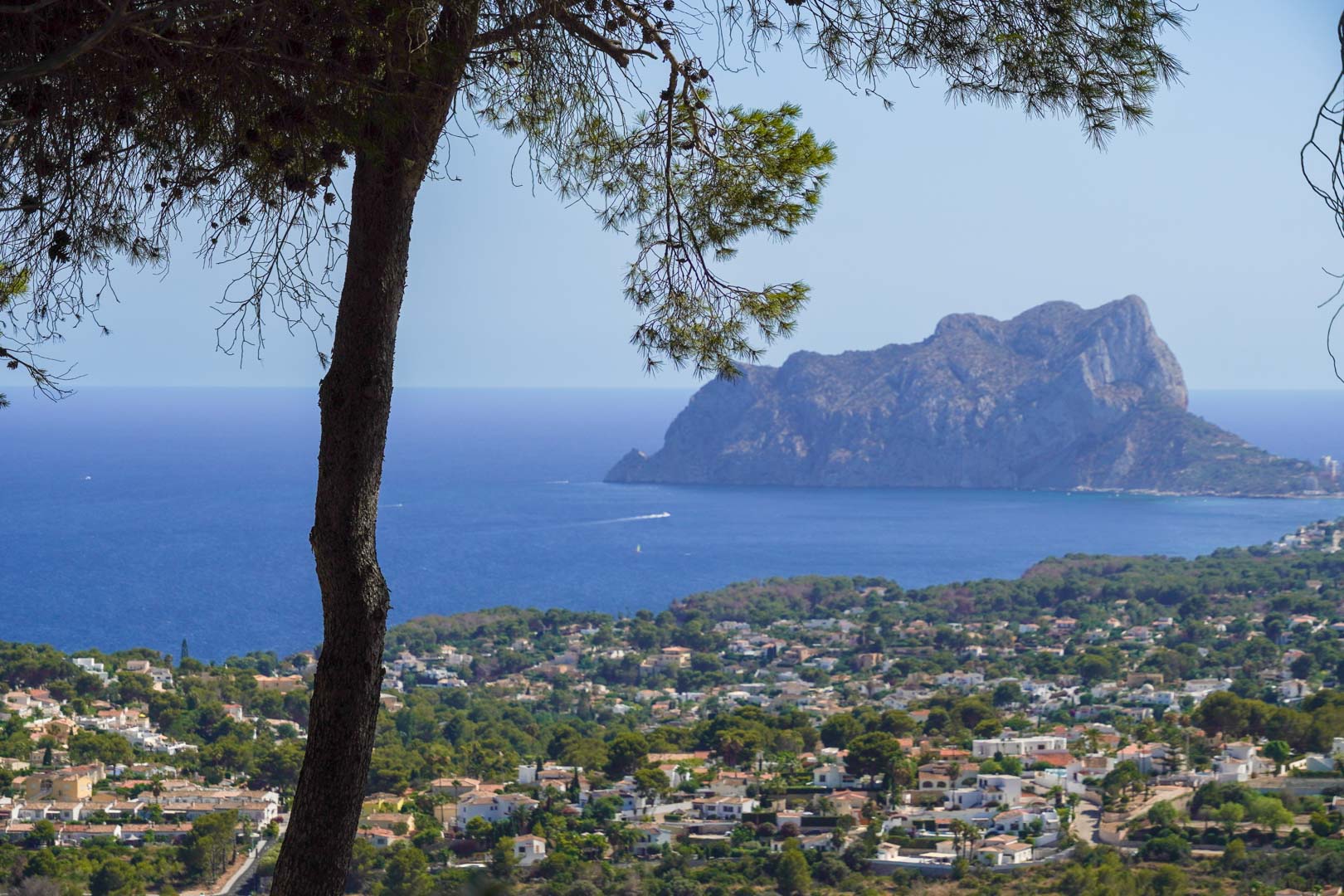 Panoramic views of the Mediterranean Sea and the Peñón de Ifach, framed by a pine tree overlooking the coastal valley and residential landscape.