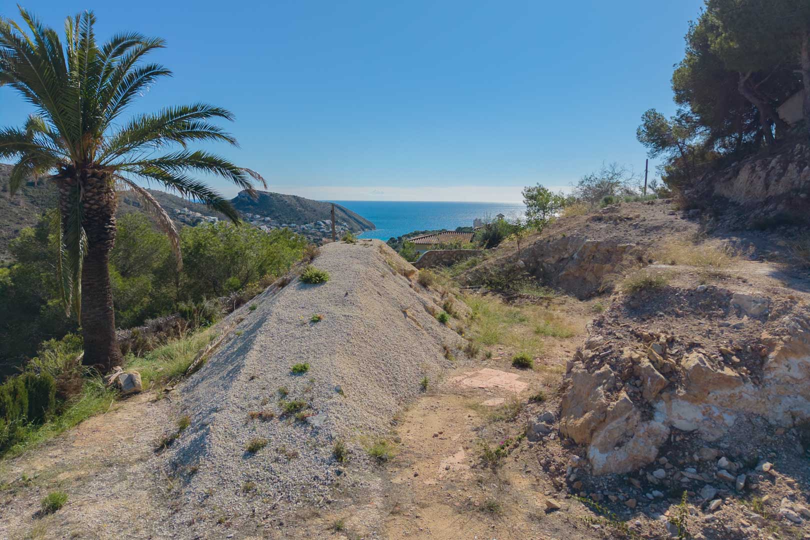 Elevated plot in Moraira offering panoramic Mediterranean Sea views, featuring natural rocky terrain, a mature palm tree, and surrounding pine forest.