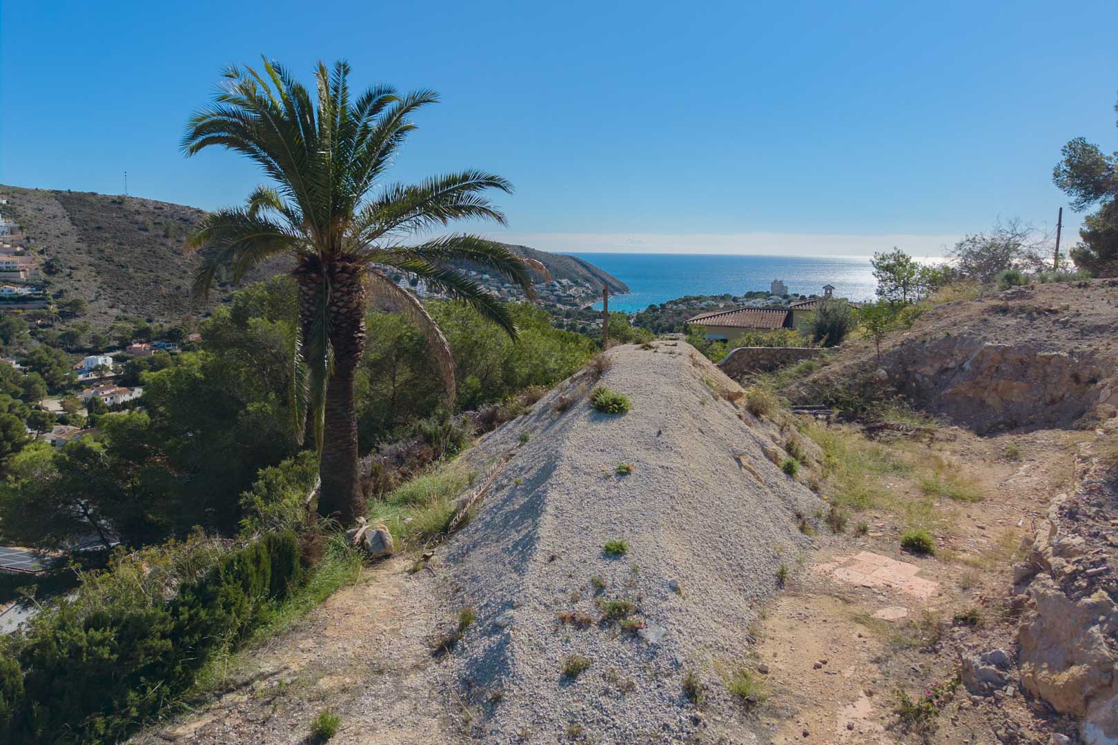 Panoramic view from the elevated plot overlooking El Portet bay, featuring a mature palm tree and the Mediterranean Sea under a clear sky.