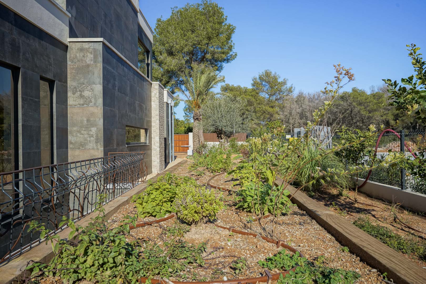 Modern facade with dark stone cladding overlooking a Mediterranean garden featuring a drip irrigation system and native plants.