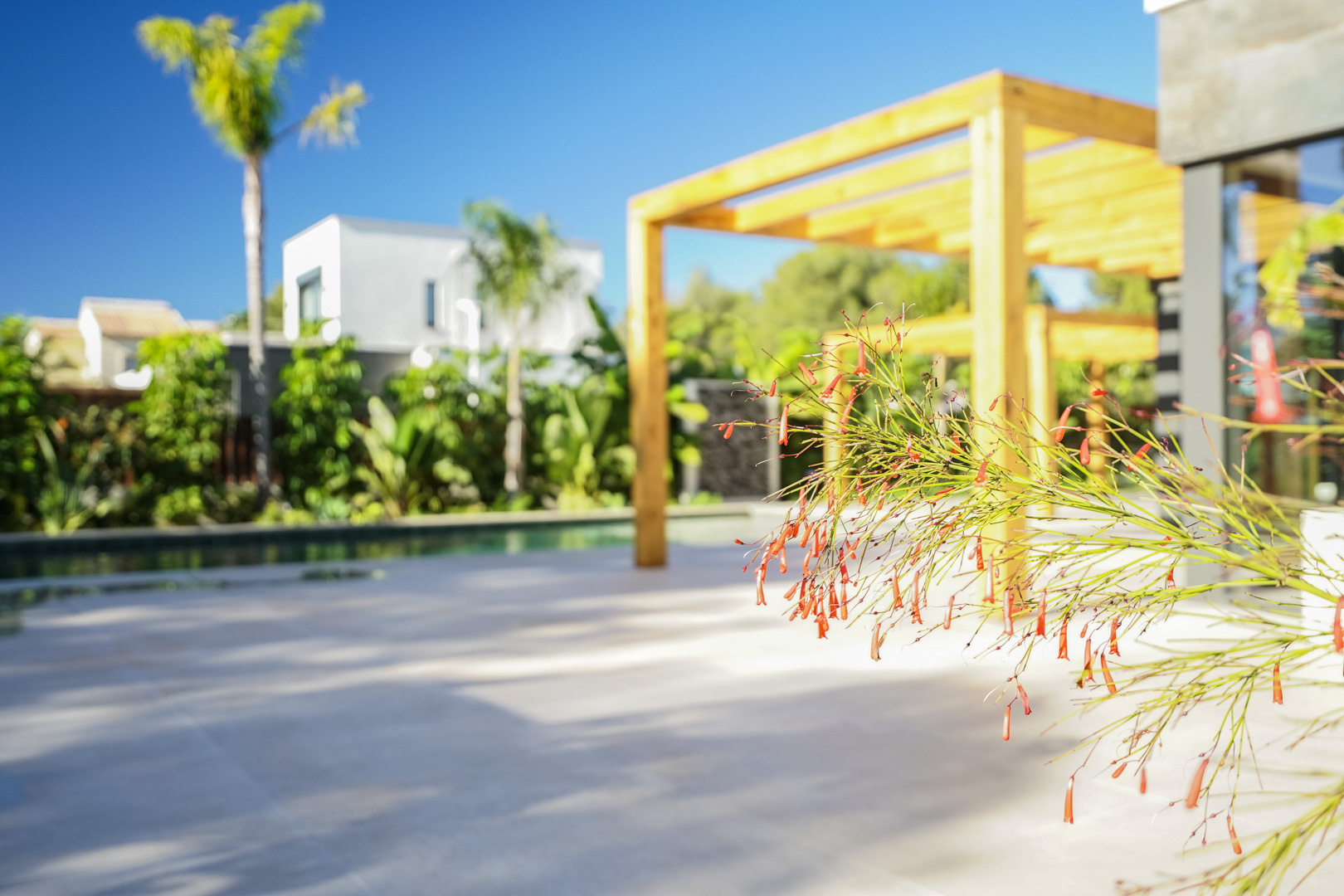 Outdoor terrace featuring an iroko wood pergola and views of the Mediterranean garden. Close-up of ornamental plants next to the swimming pool area.