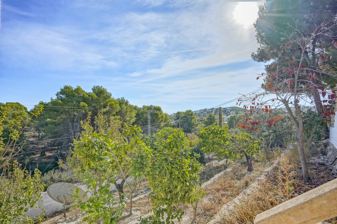 Open views from the property overlooking a natural pine forest and distant hills, featuring Mediterranean fruit trees and bright natural light.