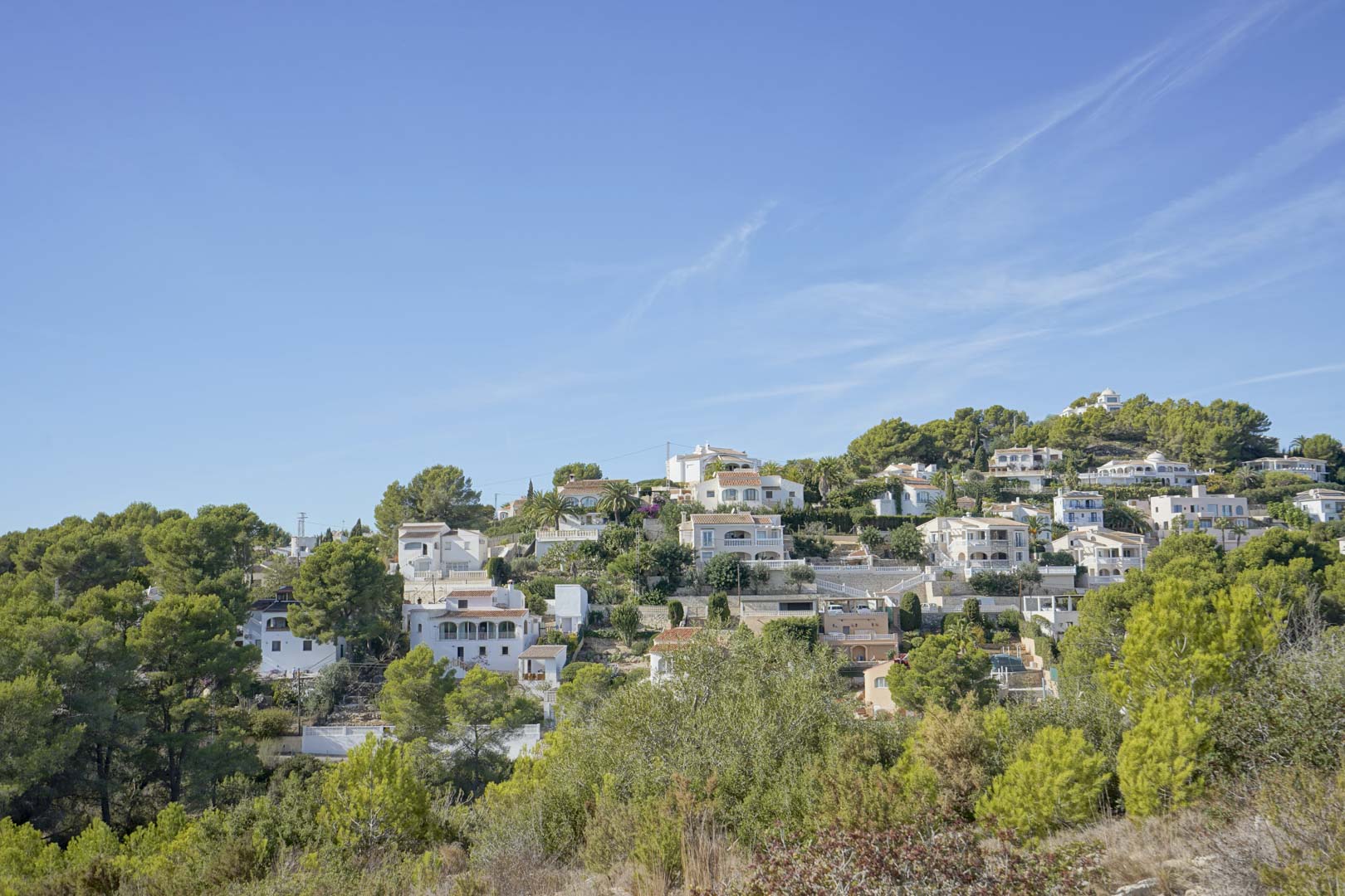 Panoramic view of the Pinomar residential area in Jávea, featuring traditional white villas nestled among Mediterranean pines on a sunny hillside.