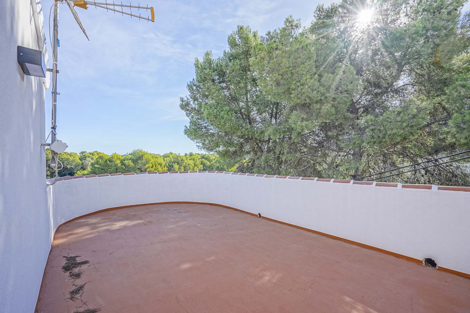 Upper-level terrace featuring terracotta tiling and a curved white parapet wall, overlooking a dense pine forest under bright natural light.
