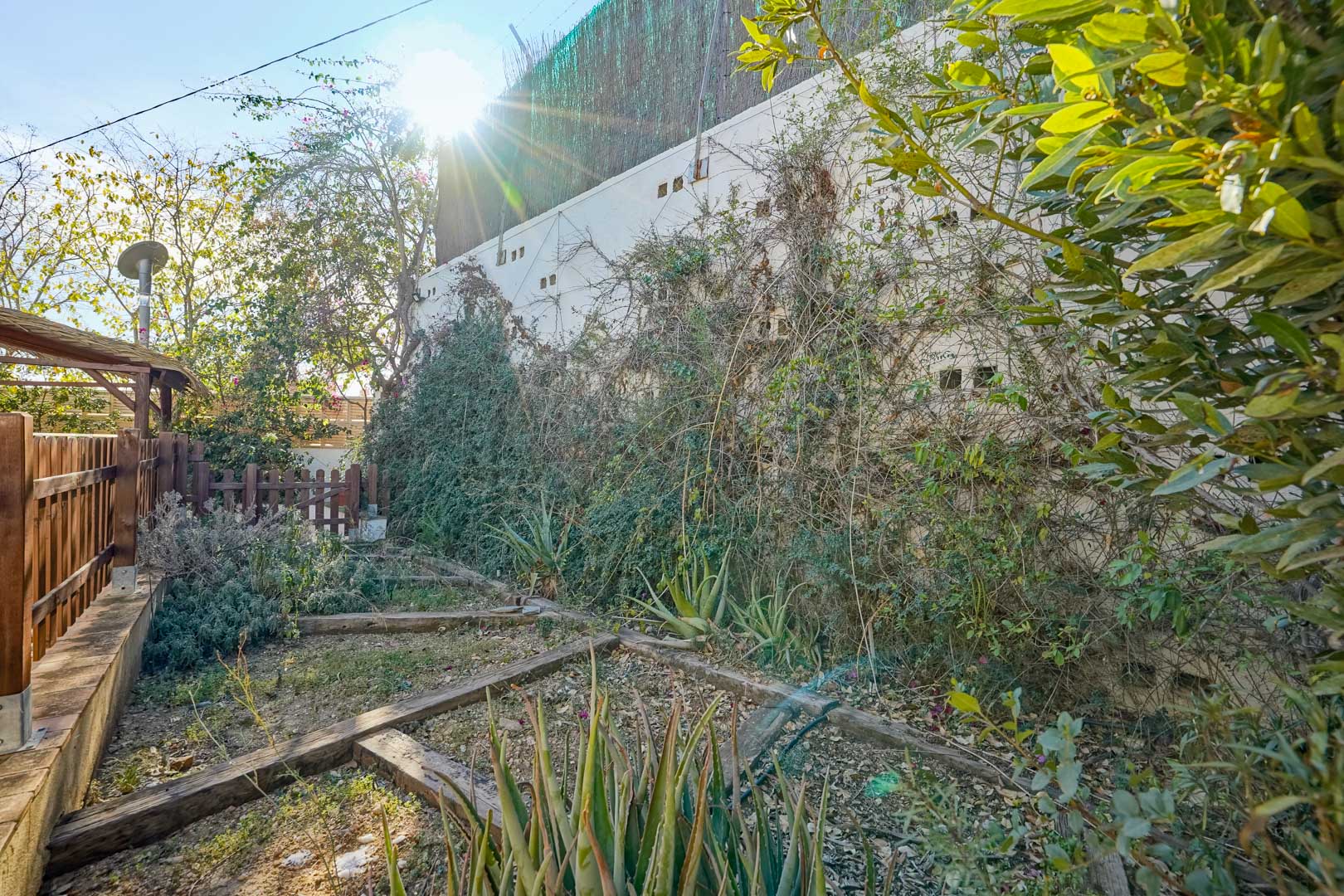Garden area featuring wooden sleepers defining planting beds, aloe vera plants, and climbing vines against a high perimeter wall in bright daylight.