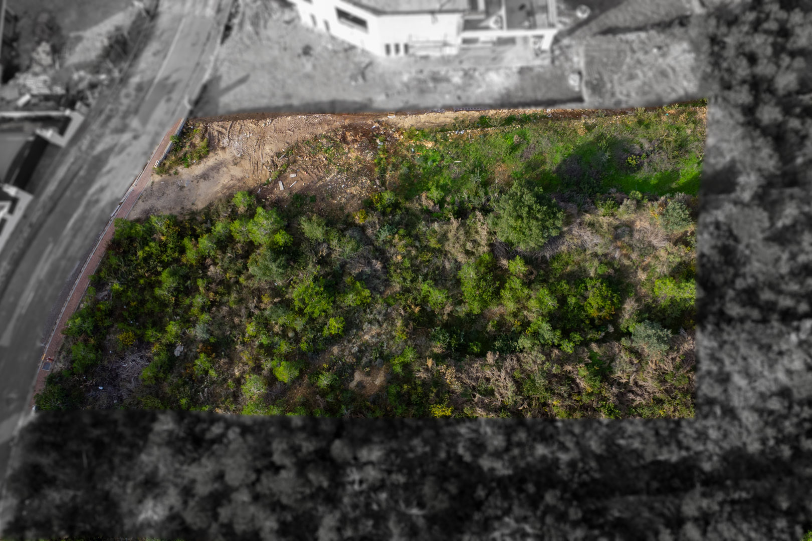Aerial top-down view of the rectangular building plot, highlighting its natural Mediterranean vegetation and direct access to the paved street with sidewalks.