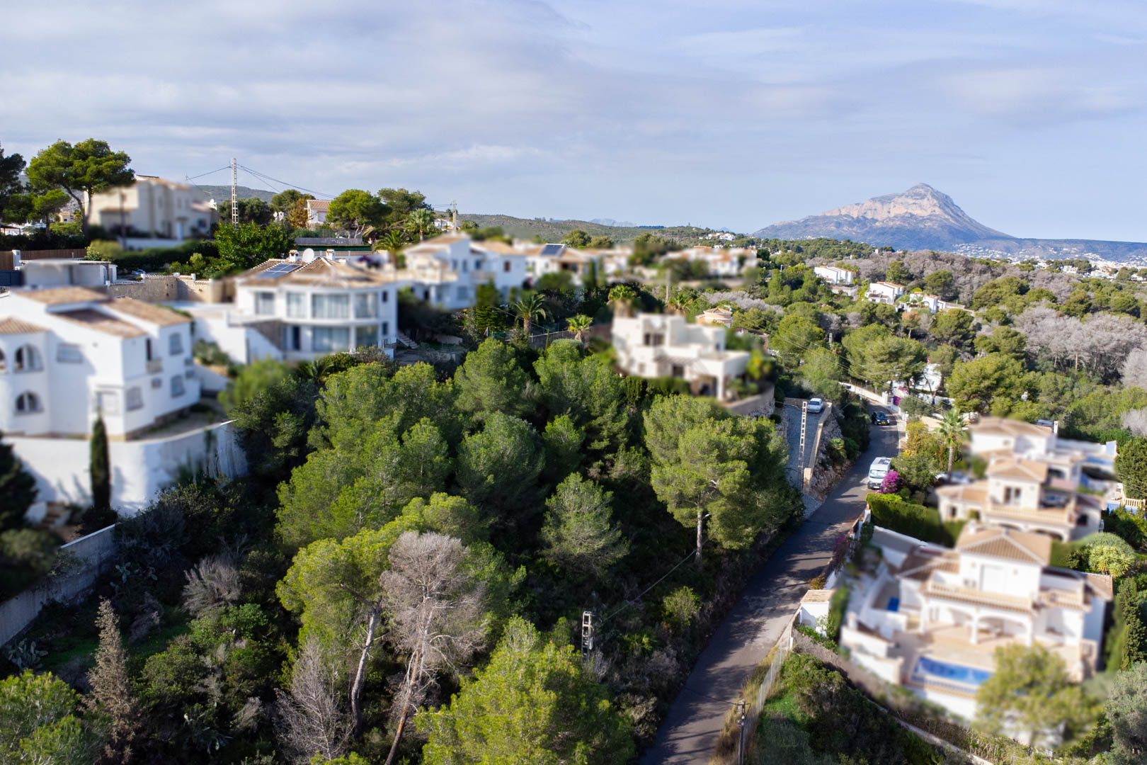 Elevated perspective of the sloping wooded plot, situated within a residential area with clear views of the Montgó mountain.