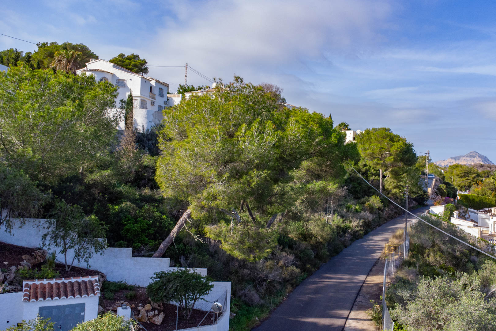 Elevated view of the sloping plot featuring mature pine trees, located alongside a paved access road in the Granadella residential area.