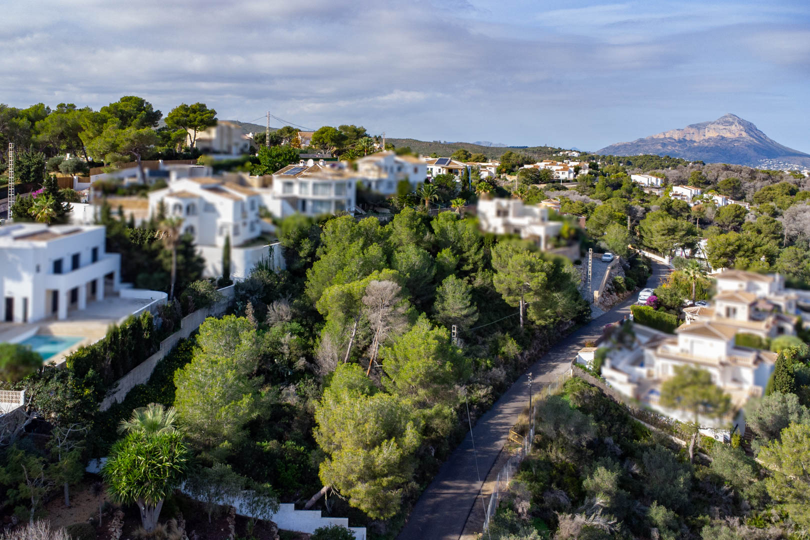 Elevated view of the wooded hillside plot, featuring mature pine trees and a winding access road, with the Montgó mountain in the distance.