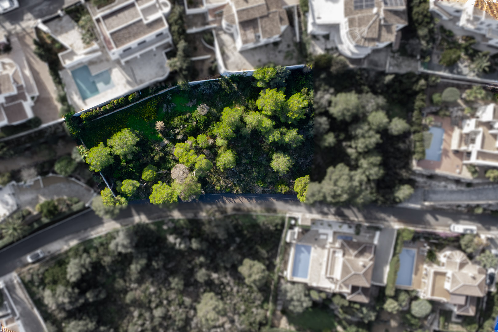 Top-down aerial view of the 1,521 m2 plot, showcasing the dense pine trees and its position within an established residential neighborhood in Jávea.