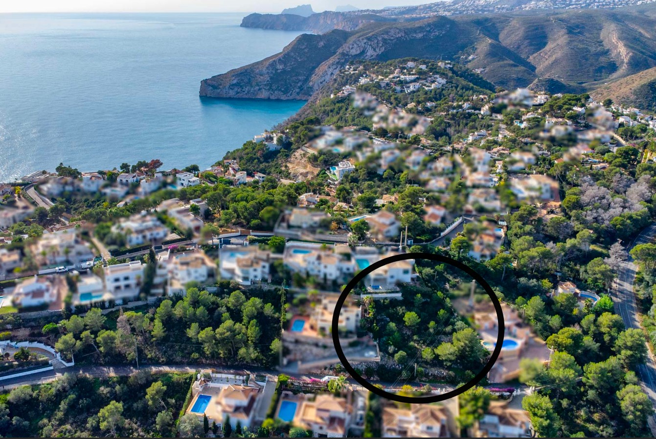 Aerial view of the 1,042m² plot nestled among pine trees in the Ambolo area, offering clear views of the Mediterranean Sea and the rugged coastline.